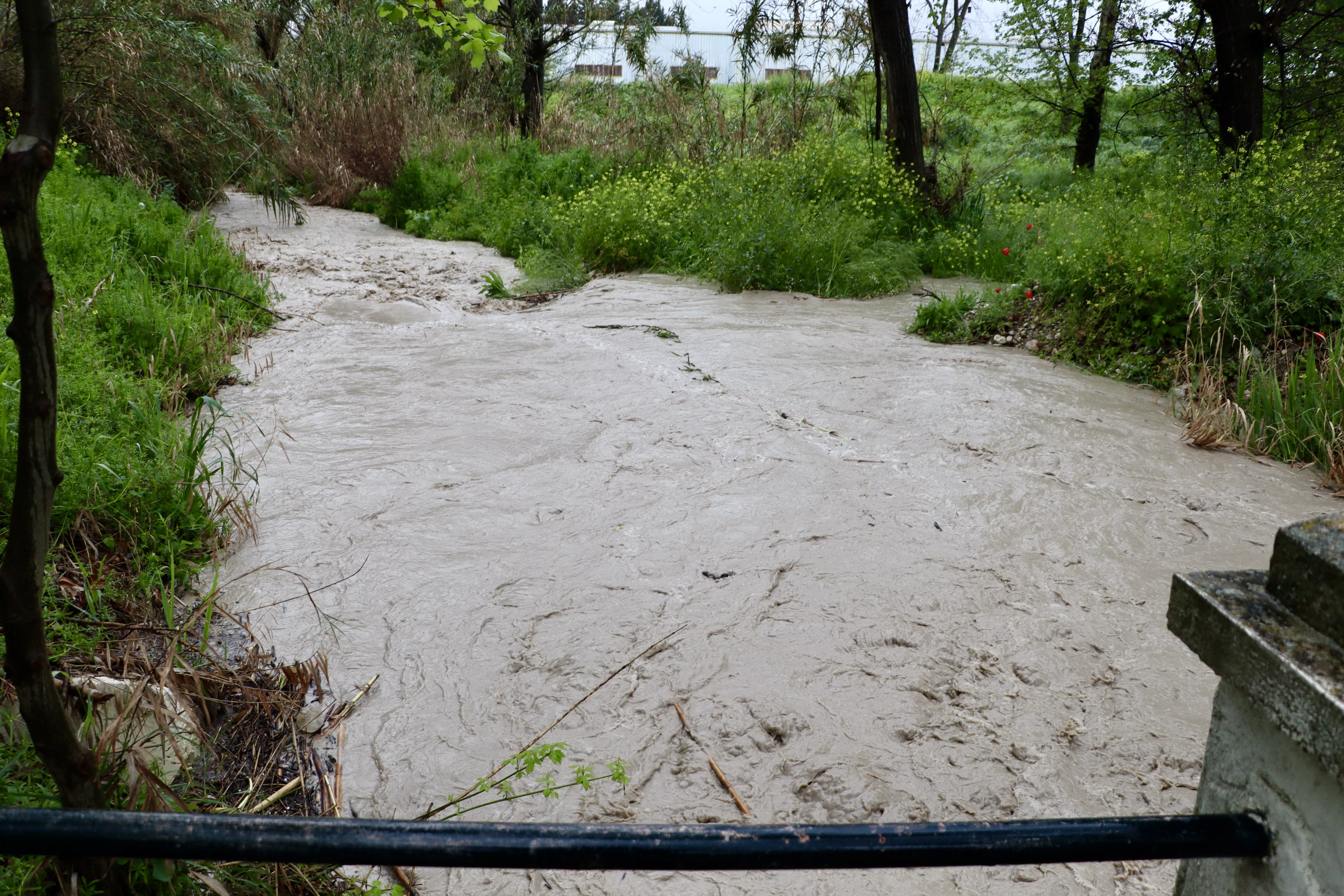 La tormenta deja problemas en distintos puntos de Lucena