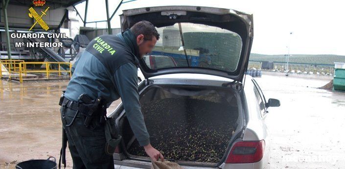  Detenidas dos personas en Lucena por la sustracción de una tonelada y media de aceituna en Iznájar 