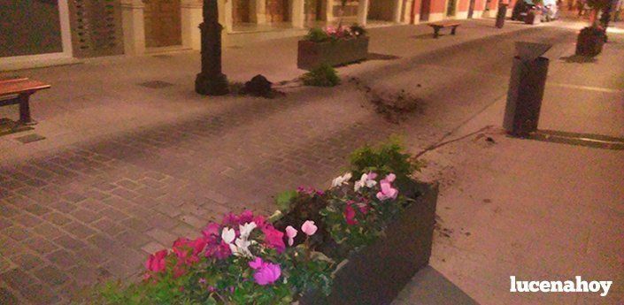  Denuncia ciudadana: Arrancan varios árboles en la calle Juan Valera de madrugada 