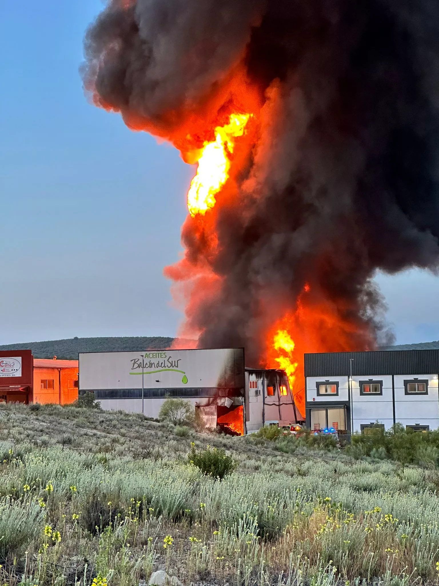 Incendio en la empresa Balcón del Sur de Lucena