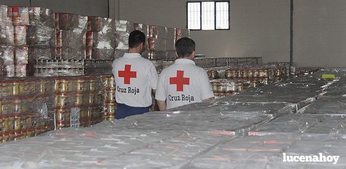  Cruz Roja y supermercados Iberplus recogerán el sábado leche para familias necesitadas 