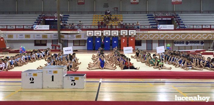  El Club Lucentino de Gimnasia obtiene 38 medallas y 18 trofeos en el campeonato andaluz (fotos) 
