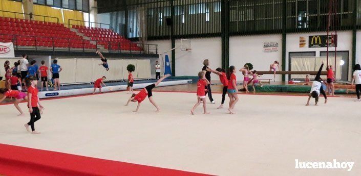  El Club Lucentino de Gimnasia despliega su potencial mediante una exhibición y entrenamientos libres (fotos) 