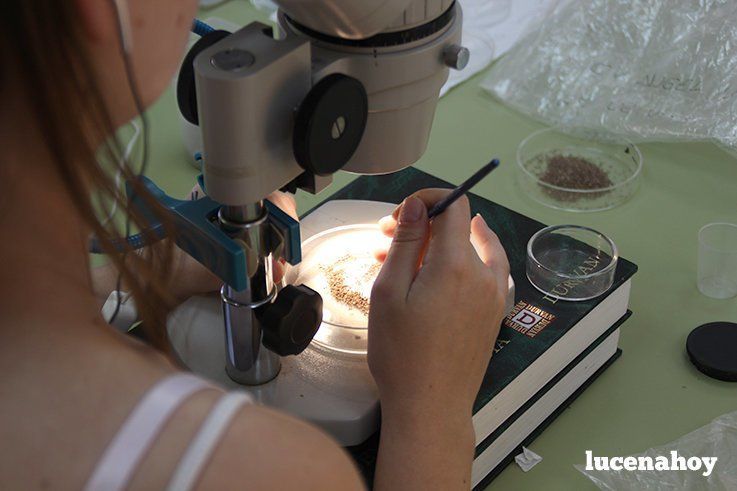 Campaña Cueva del Ángel 2015: Trabajo en el laboratorio Campaña Cueva del Ángel 2015: Trabajo en el laboratorio
