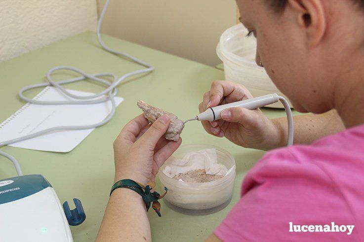 Campaña Cueva del Ángel 2015: Trabajo en el laboratorio Campaña Cueva del Ángel 2015: Trabajo en el laboratorio