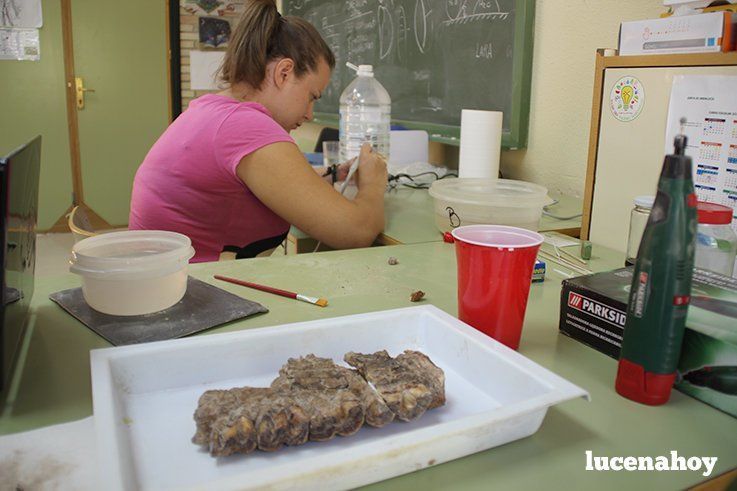 Campaña Cueva del Ángel 2015: Trabajo en el laboratorio Campaña Cueva del Ángel 2015: Trabajo en el laboratorio