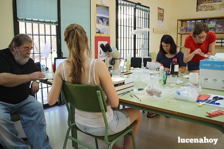 Campaña Cueva del Ángel 2015: Trabajo en el laboratorio Campaña Cueva del Ángel 2015: Trabajo en el laboratorio
