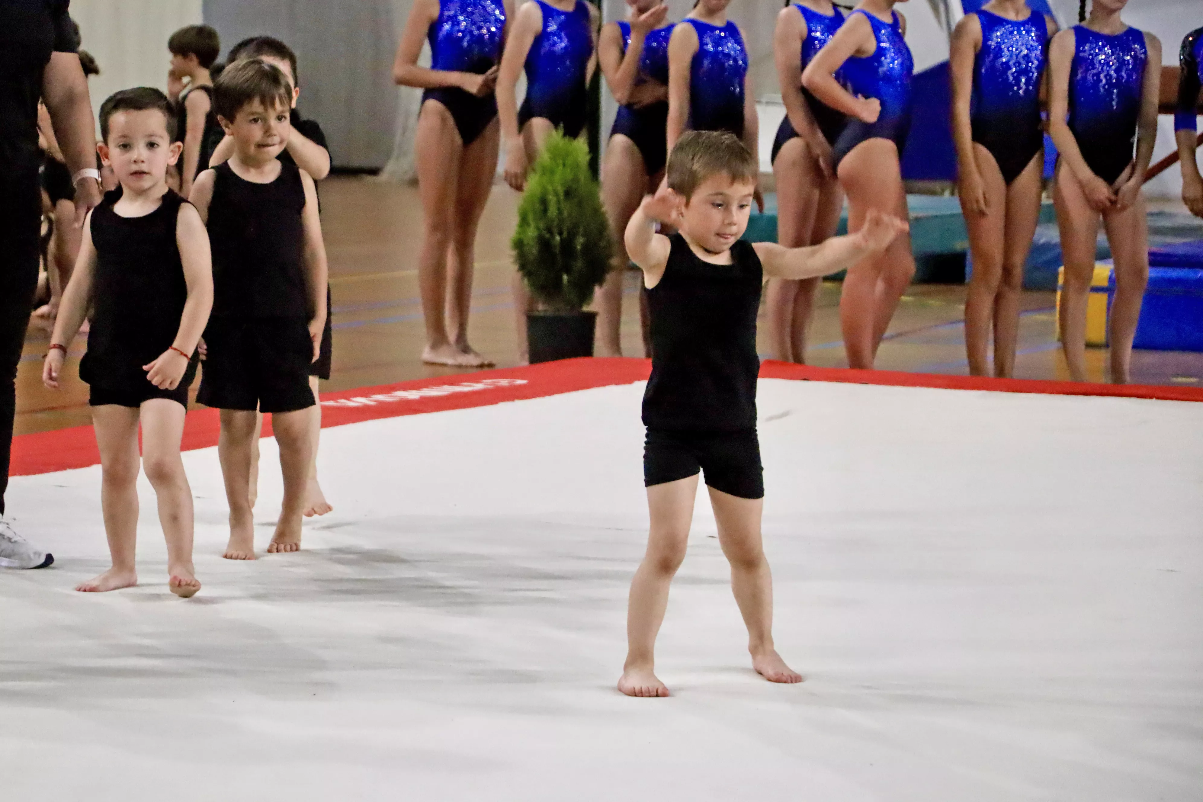 Exhibición del Club Lucentino de Gimnasia 2024 Exhibición del Club Lucentino de Gimnasia 2024