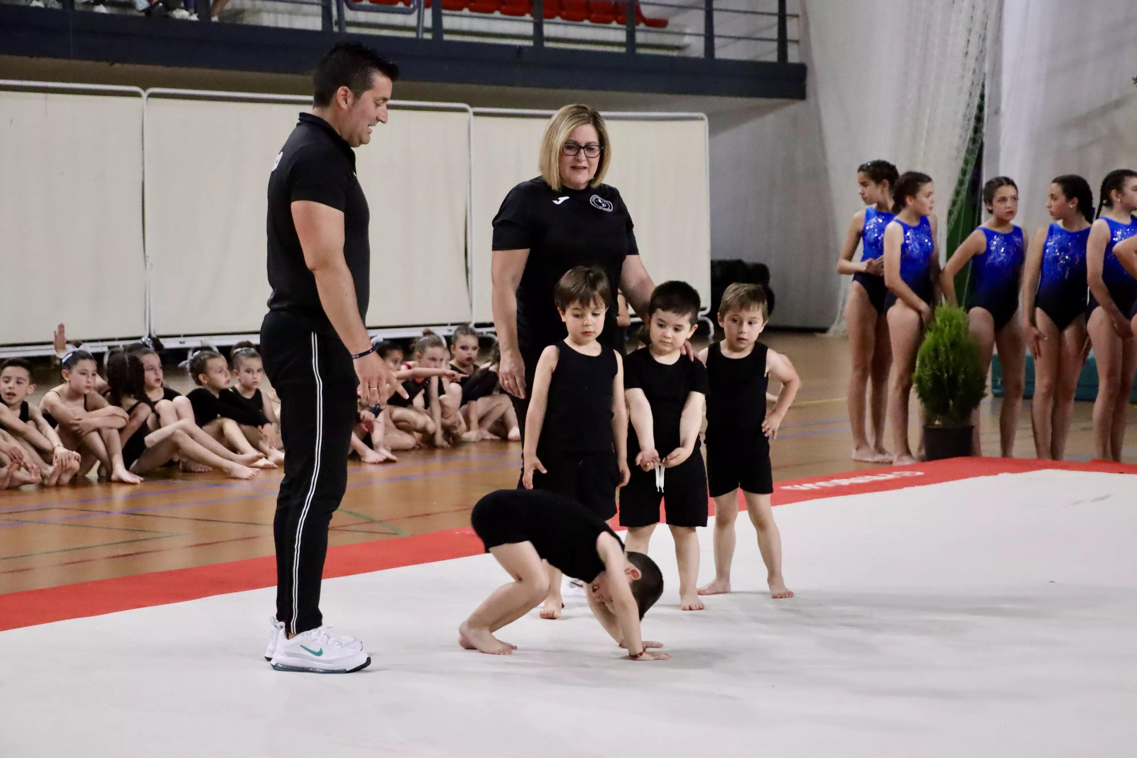 Exhibición del Club Lucentino de Gimnasia 2024 Exhibición del Club Lucentino de Gimnasia 2024