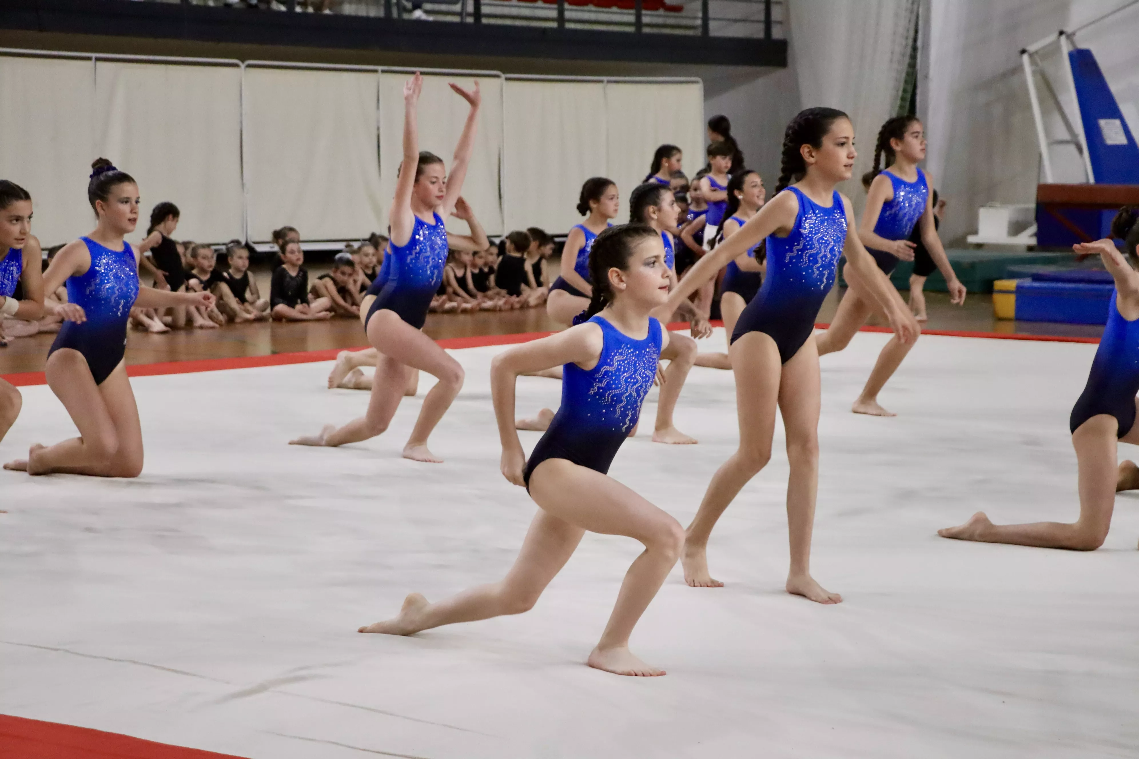Exhibición del Club Lucentino de Gimnasia 2024 Exhibición del Club Lucentino de Gimnasia 2024