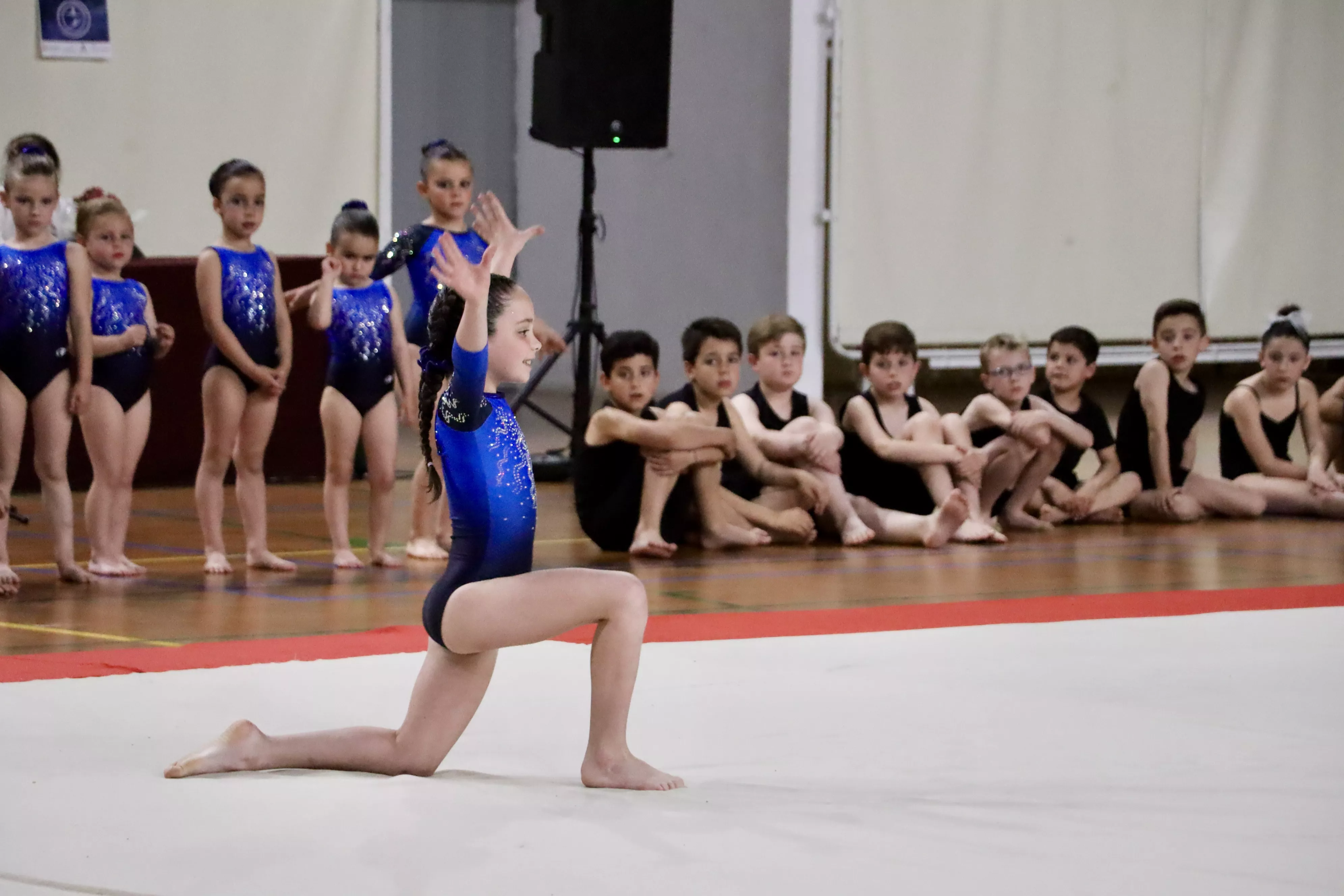 Exhibición del Club Lucentino de Gimnasia 2024 Exhibición del Club Lucentino de Gimnasia 2024