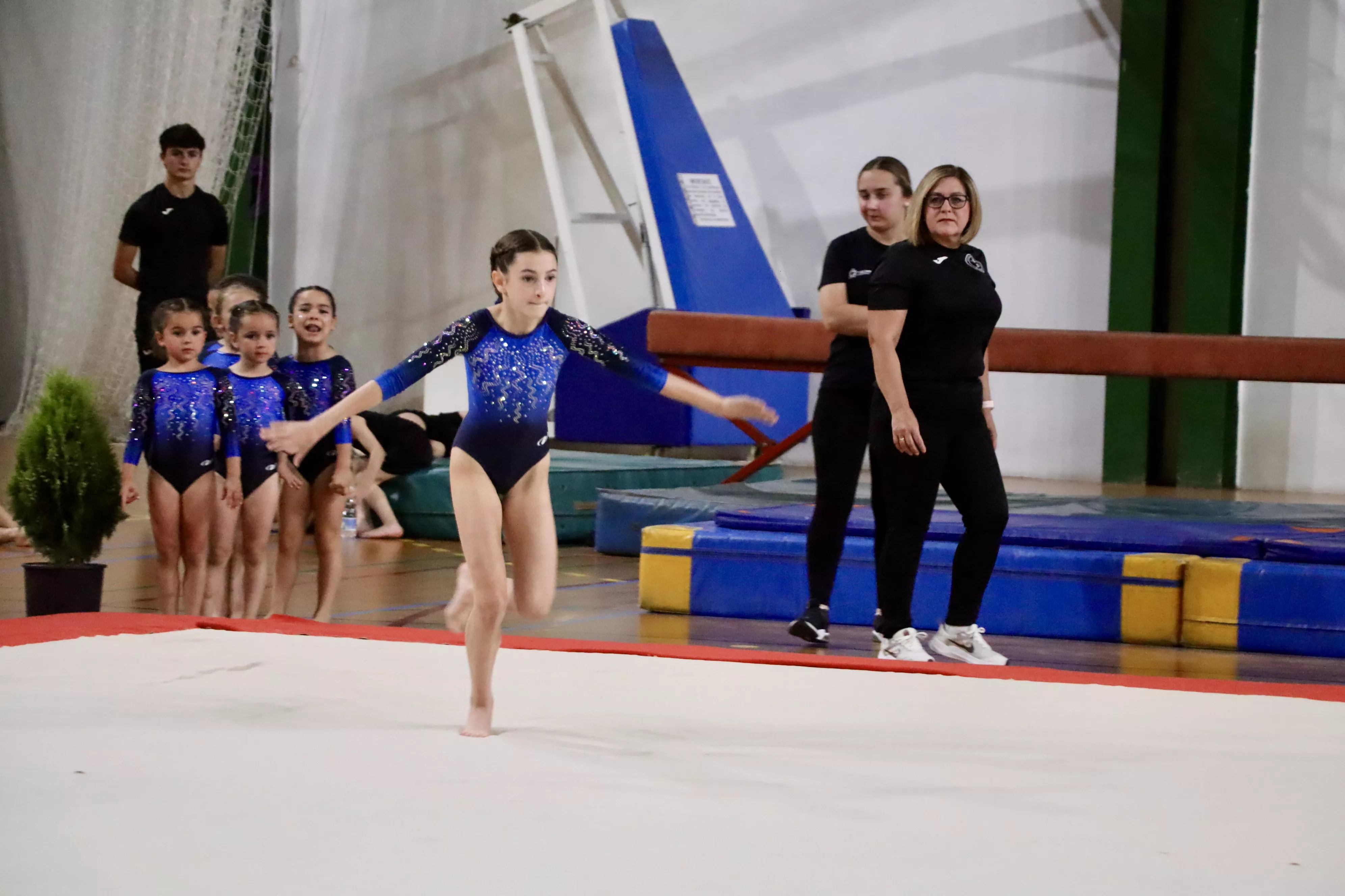 Exhibición del Club Lucentino de Gimnasia 2024 Exhibición del Club Lucentino de Gimnasia 2024