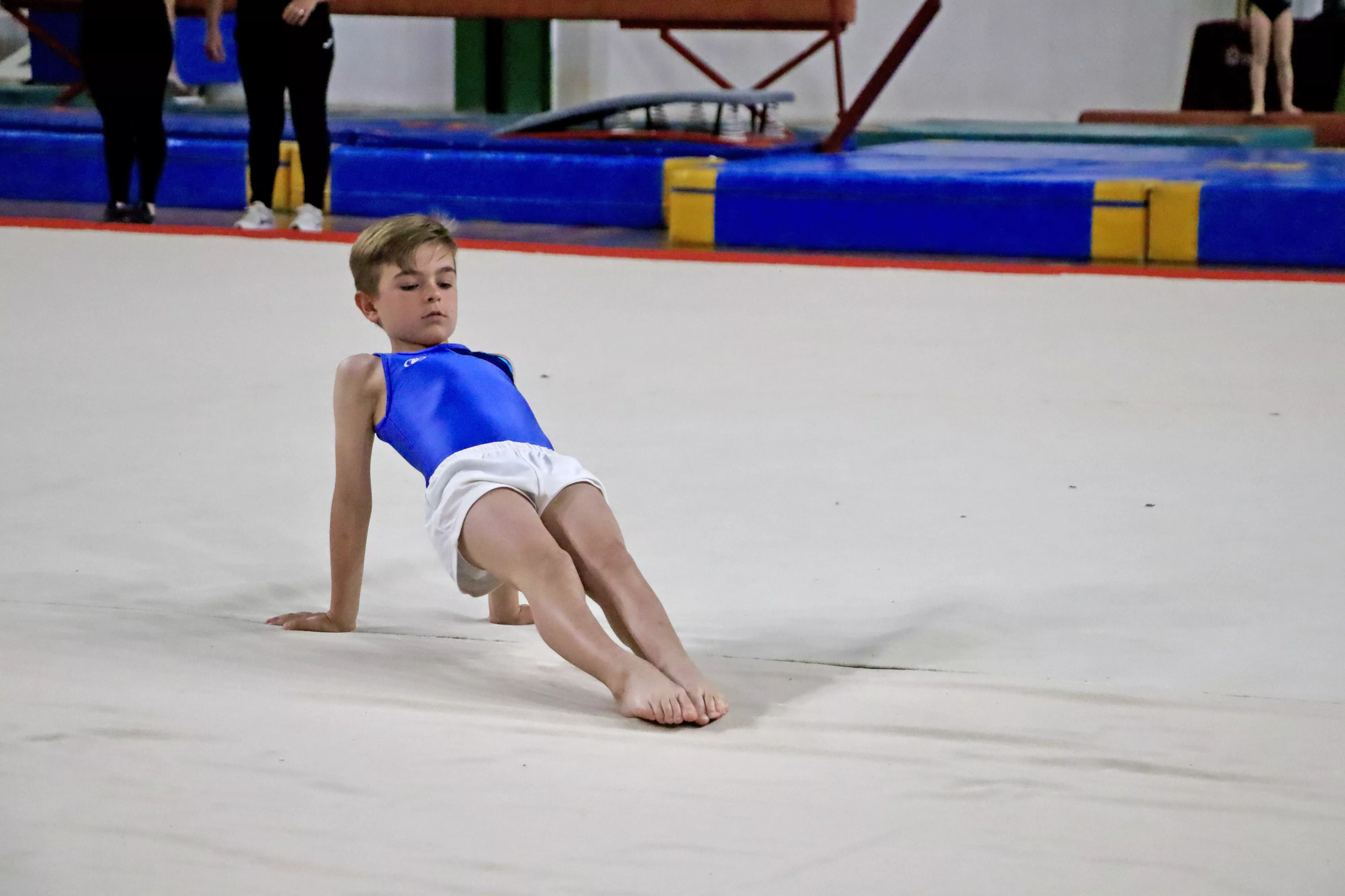 Exhibición del Club Lucentino de Gimnasia 2024 Exhibición del Club Lucentino de Gimnasia 2024