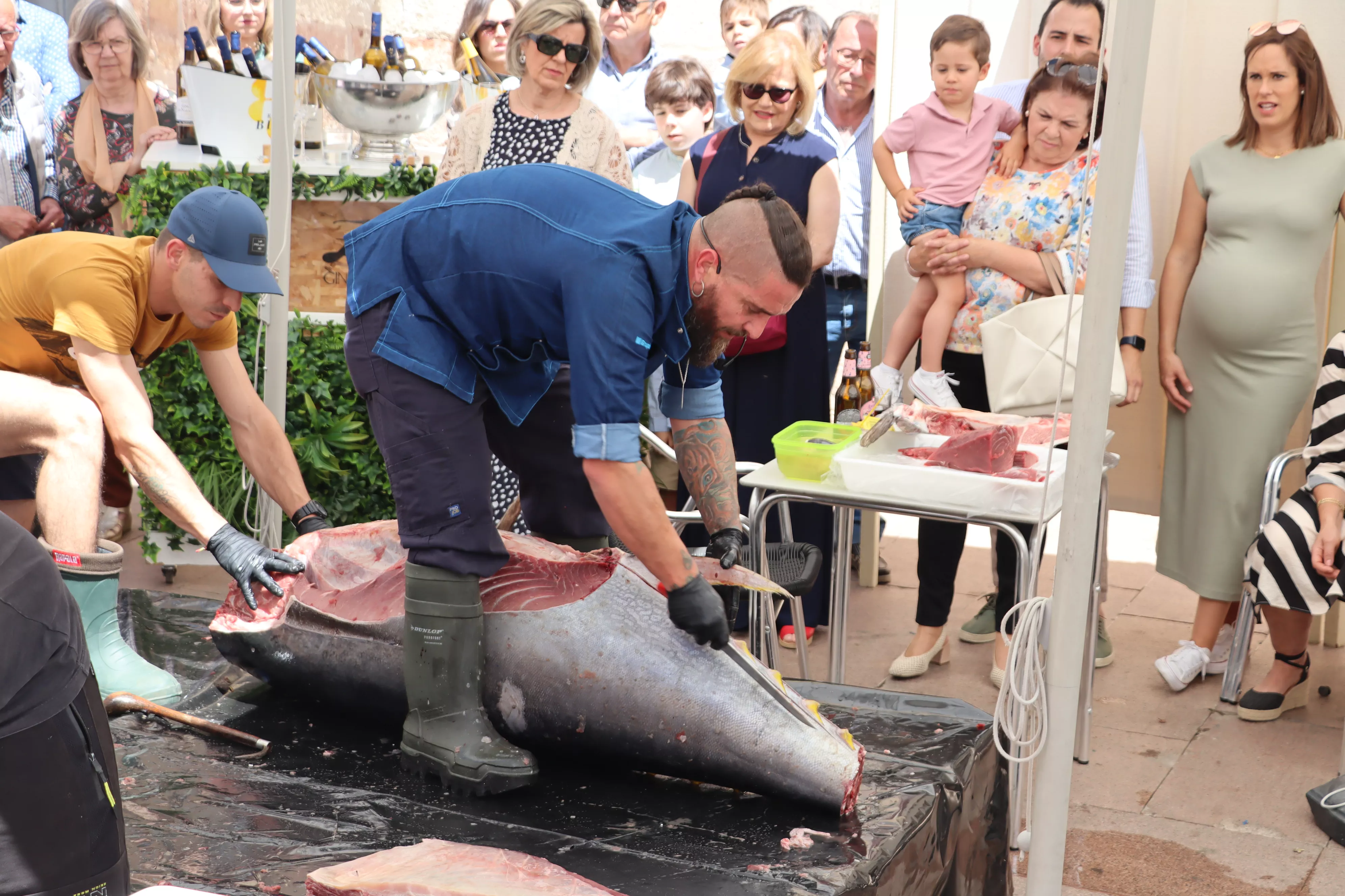 Ronqueo del Atún en Lucena