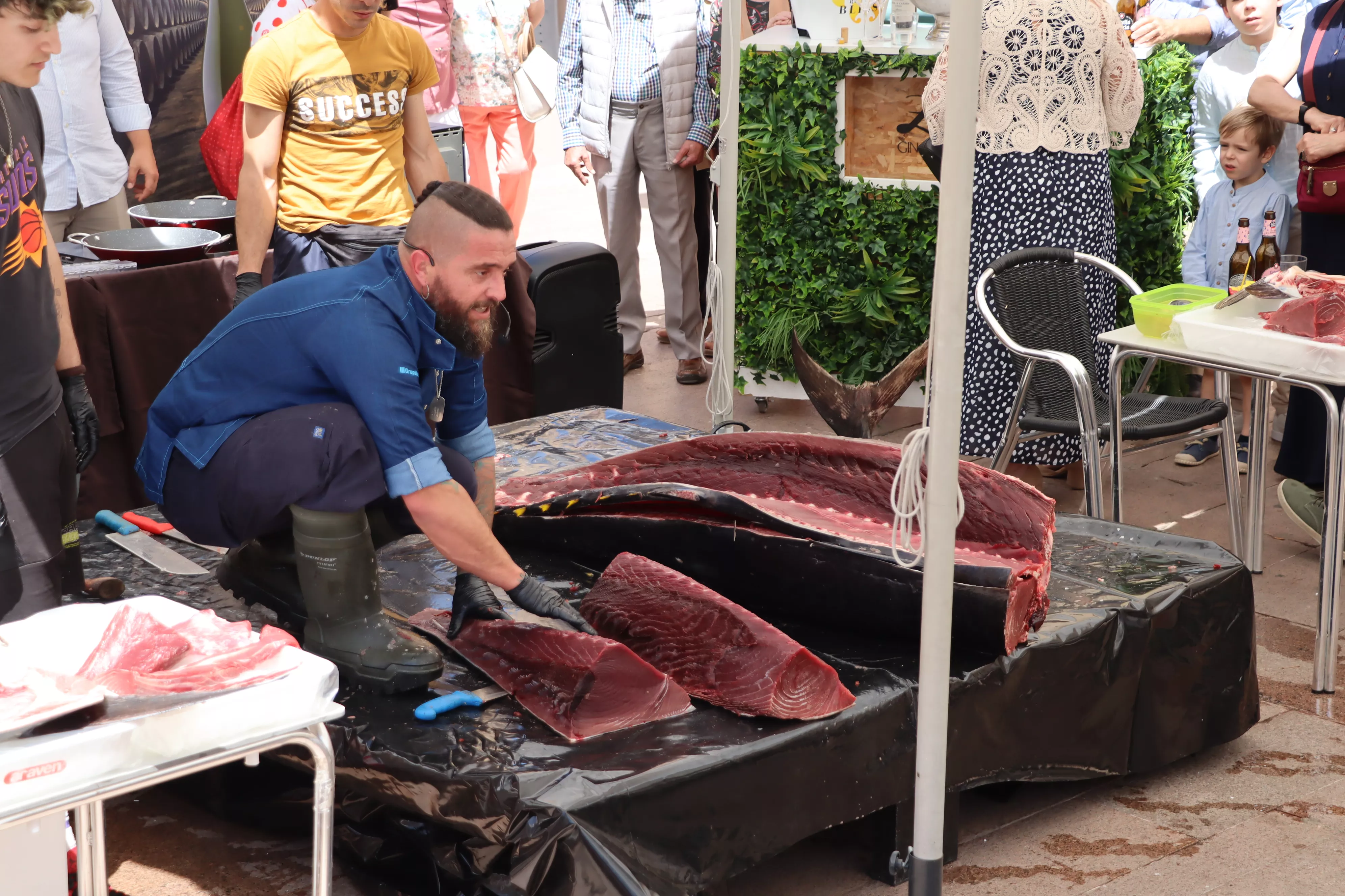 Ronqueo del Atún en Lucena