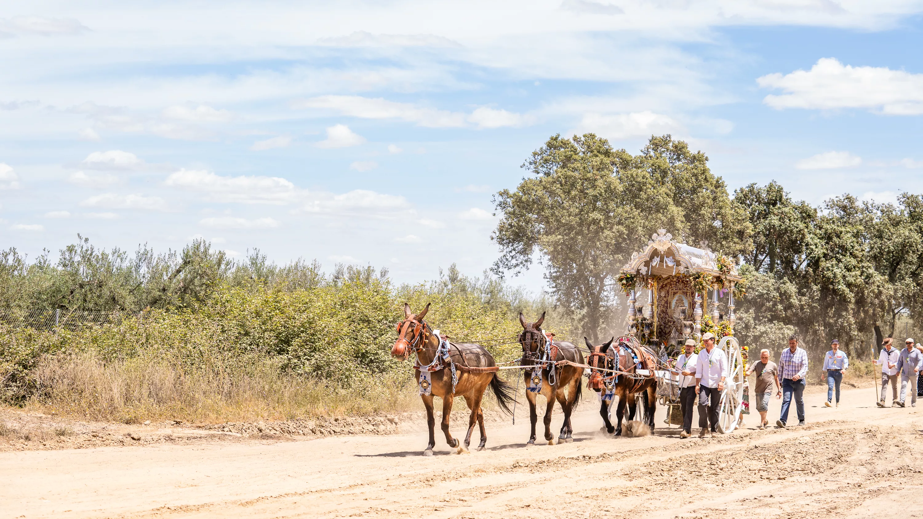 El camino de la Hermandad del Rocío de Lucena El camino de la Hermandad del Rocío de Lucena