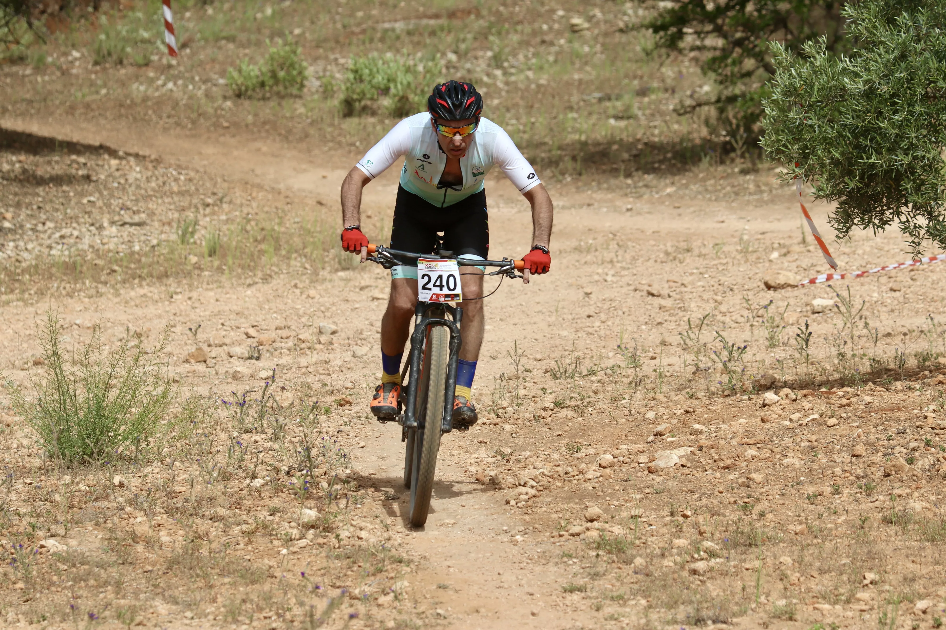 XXIX RUTA MTB CIUDAD DE LUCENA