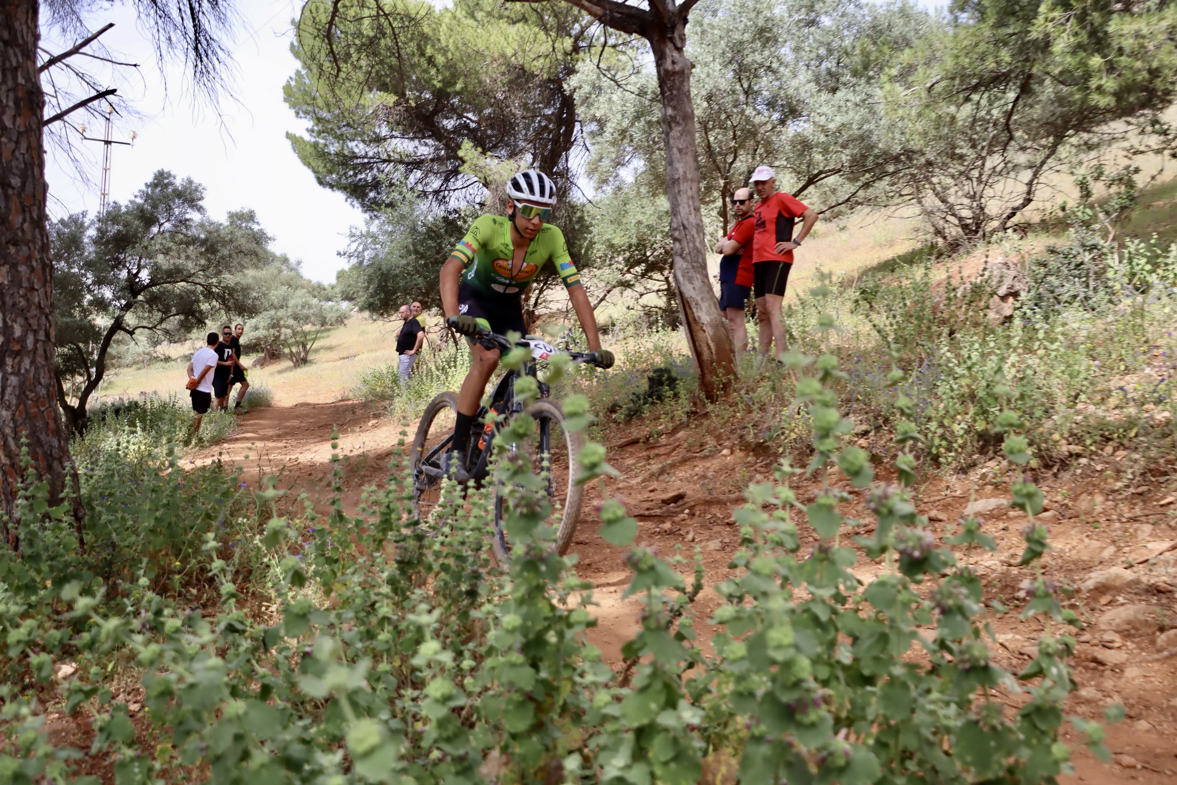 XXIX RUTA MTB CIUDAD DE LUCENA