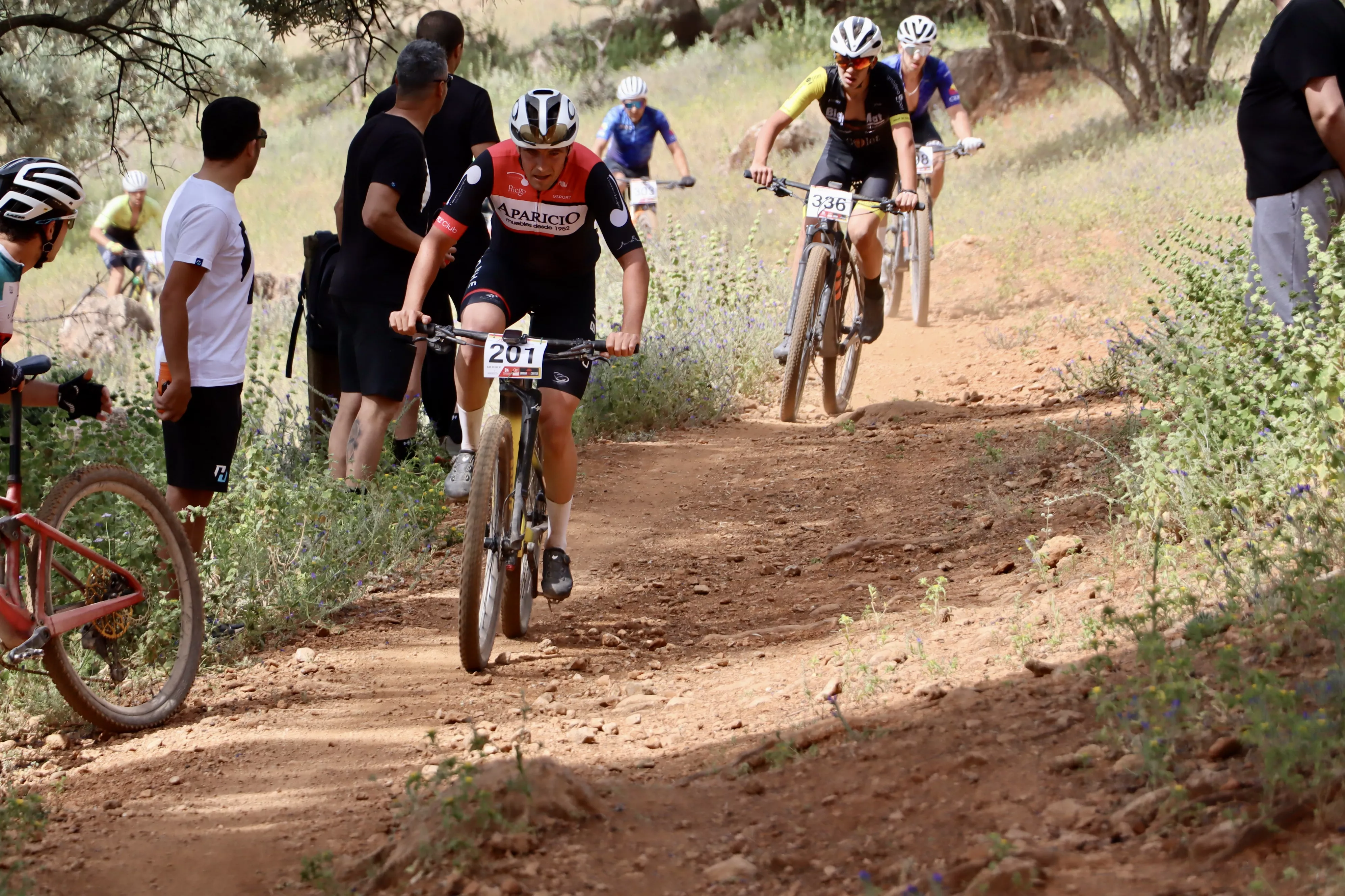 XXIX RUTA MTB CIUDAD DE LUCENA