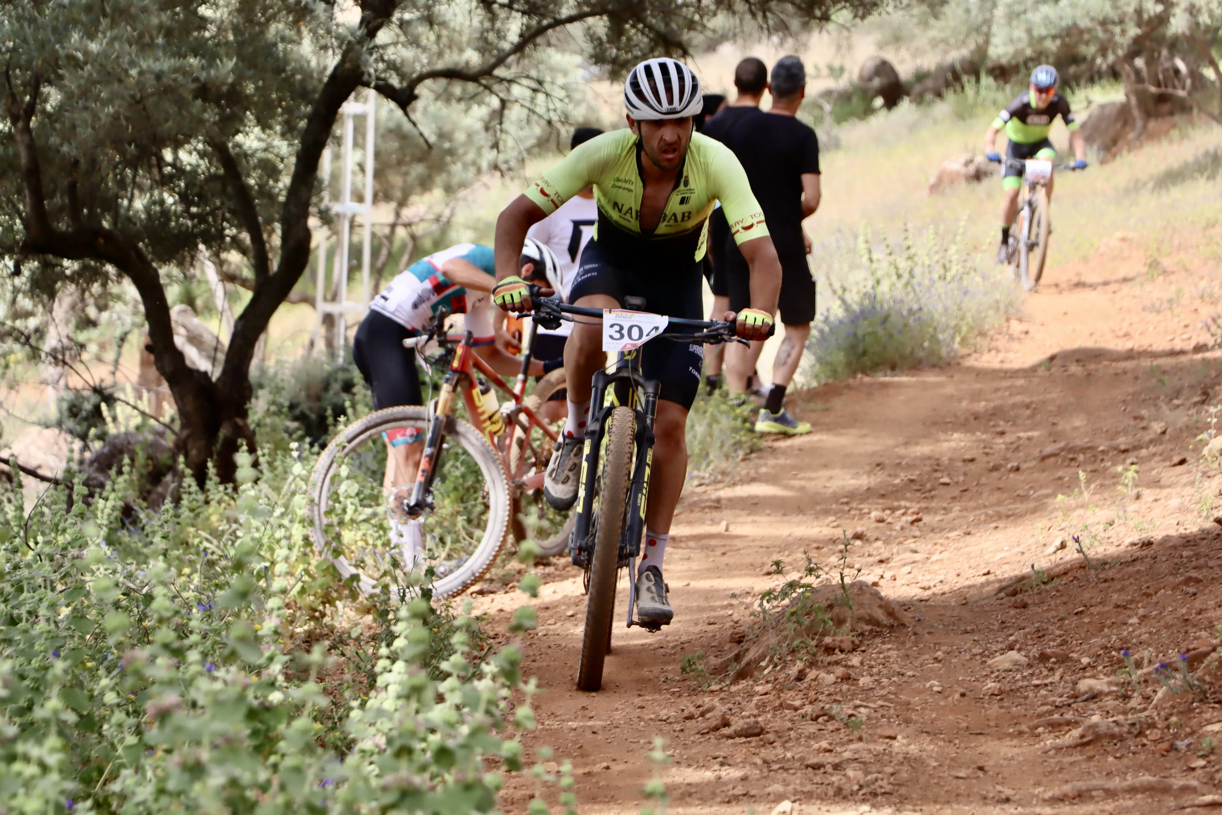 XXIX RUTA MTB CIUDAD DE LUCENA