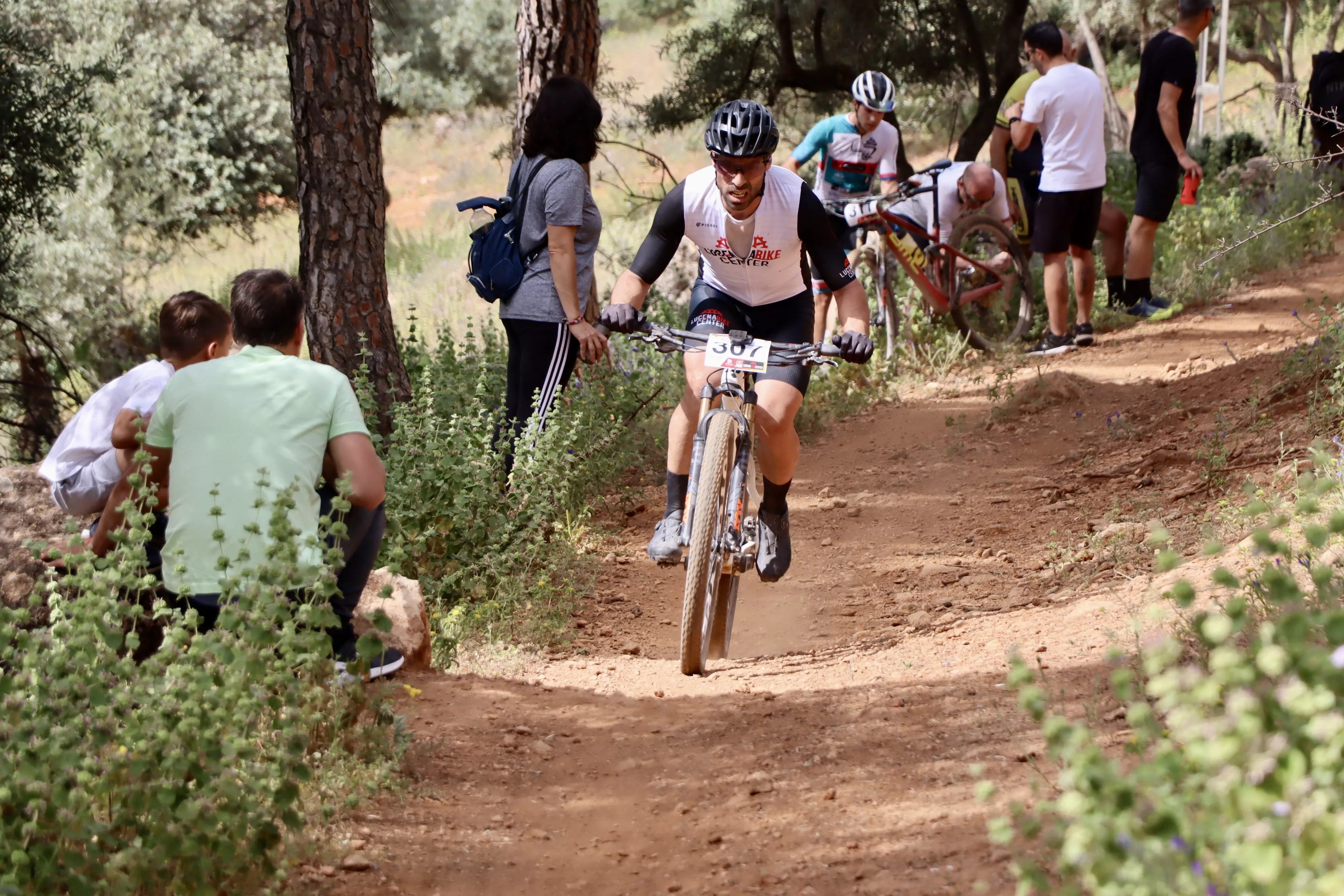 XXIX RUTA MTB CIUDAD DE LUCENA