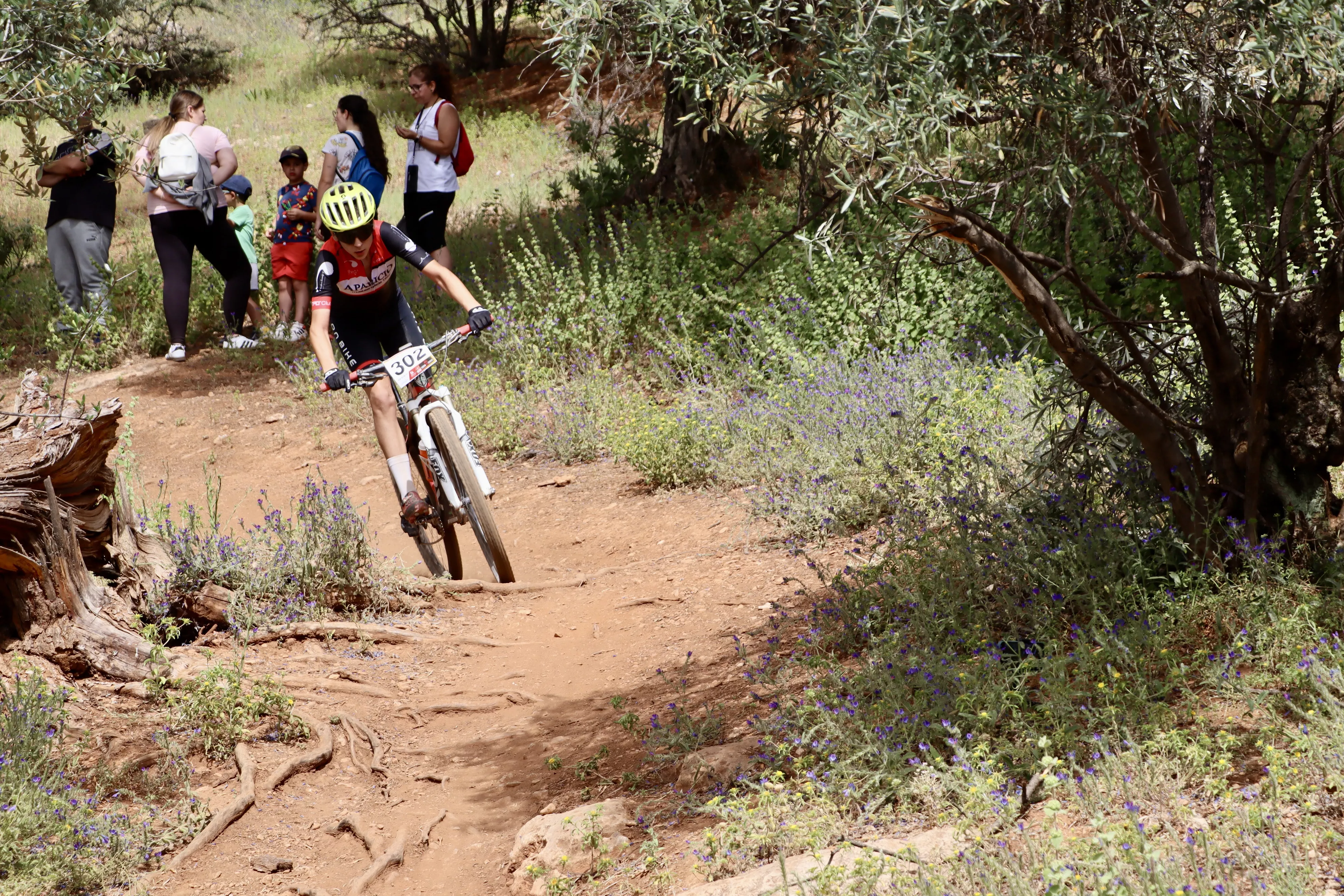 XXIX RUTA MTB CIUDAD DE LUCENA
