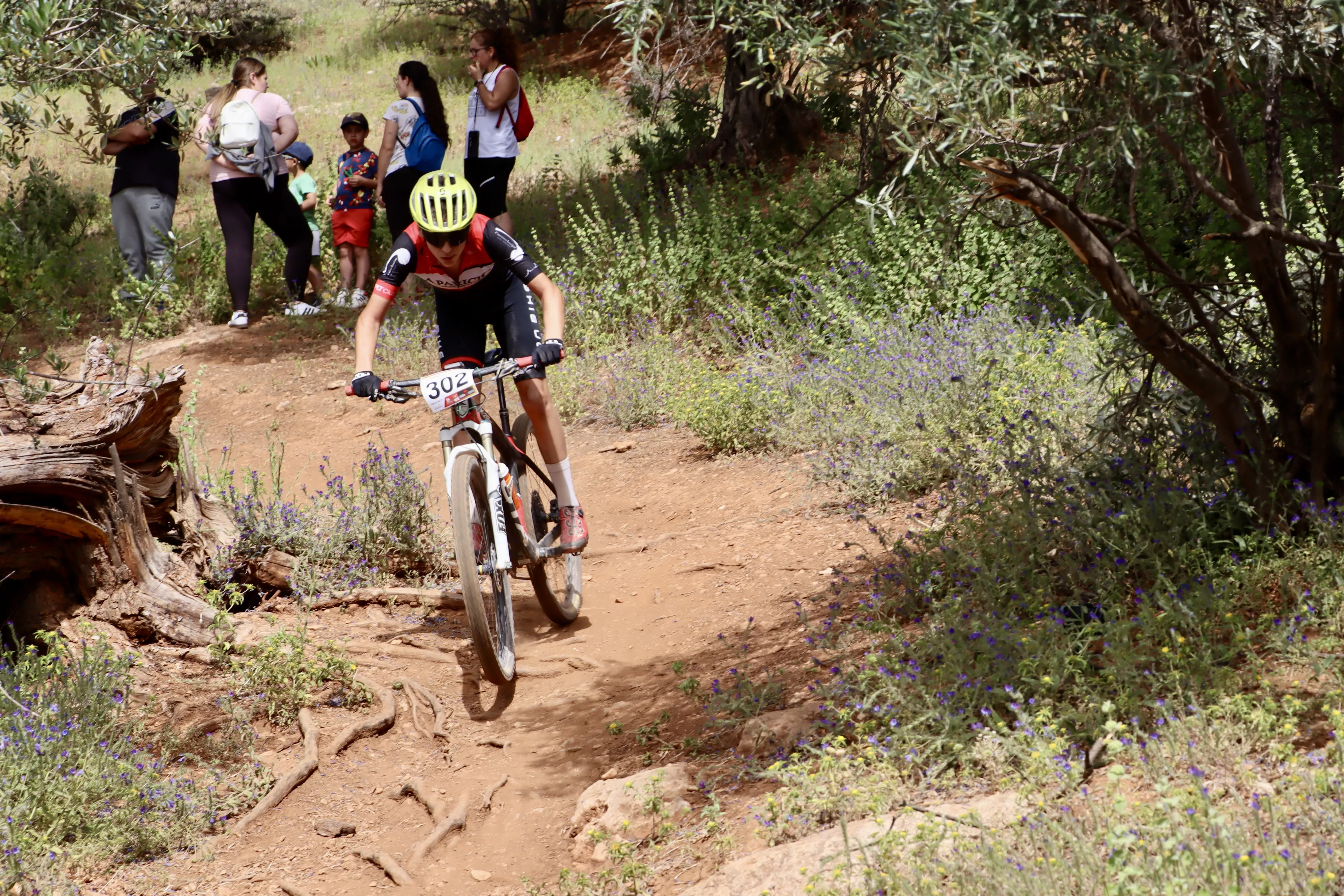 XXIX RUTA MTB CIUDAD DE LUCENA