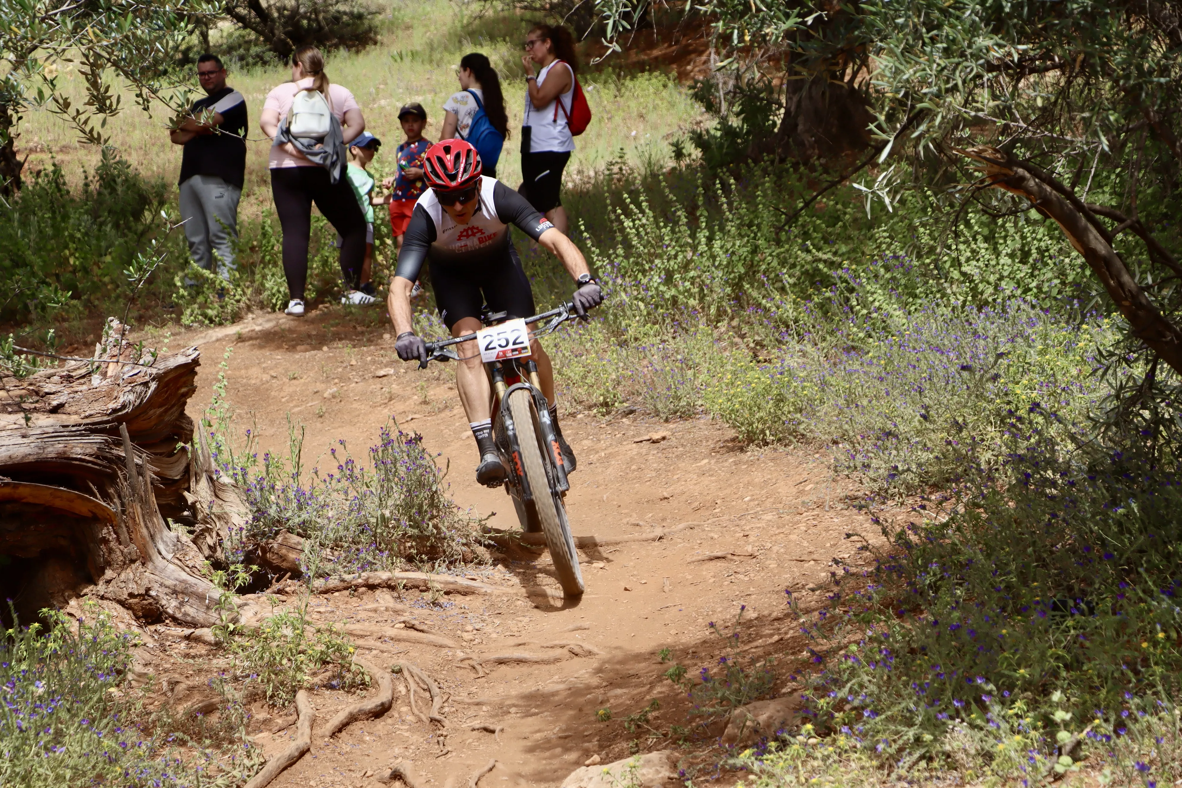XXIX RUTA MTB CIUDAD DE LUCENA