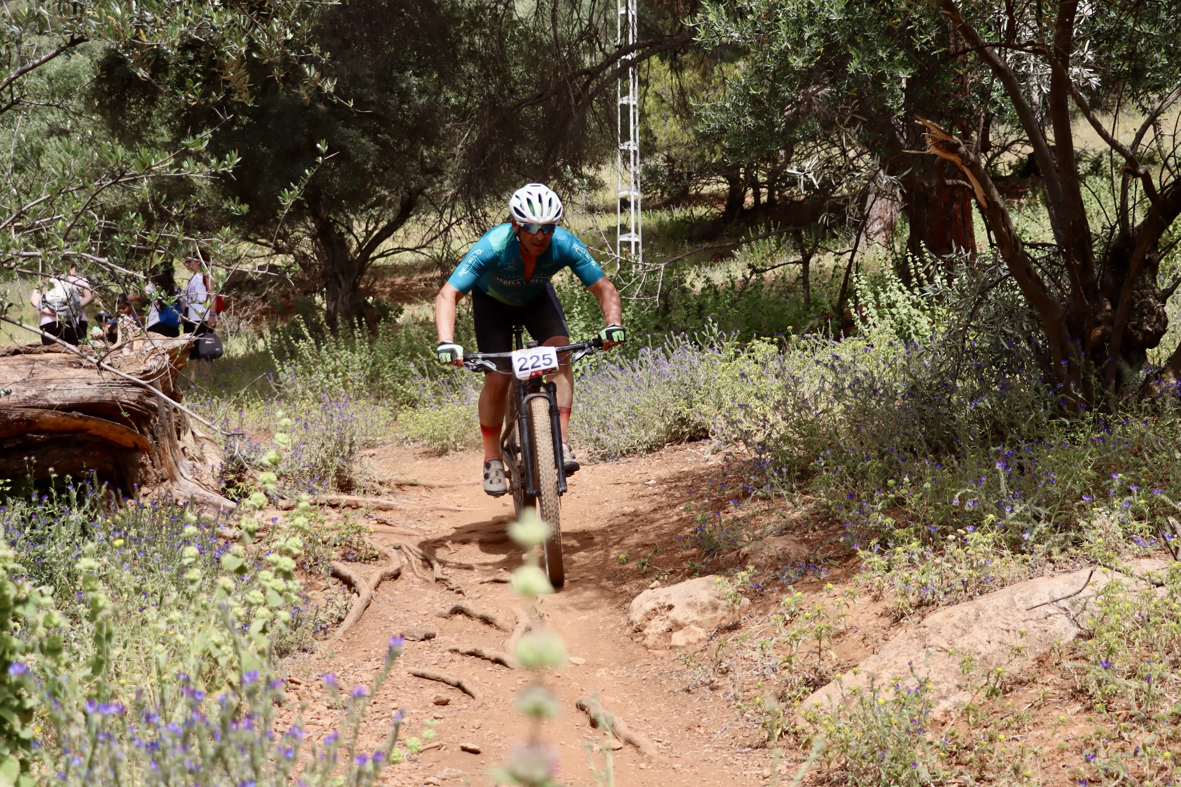 XXIX RUTA MTB CIUDAD DE LUCENA