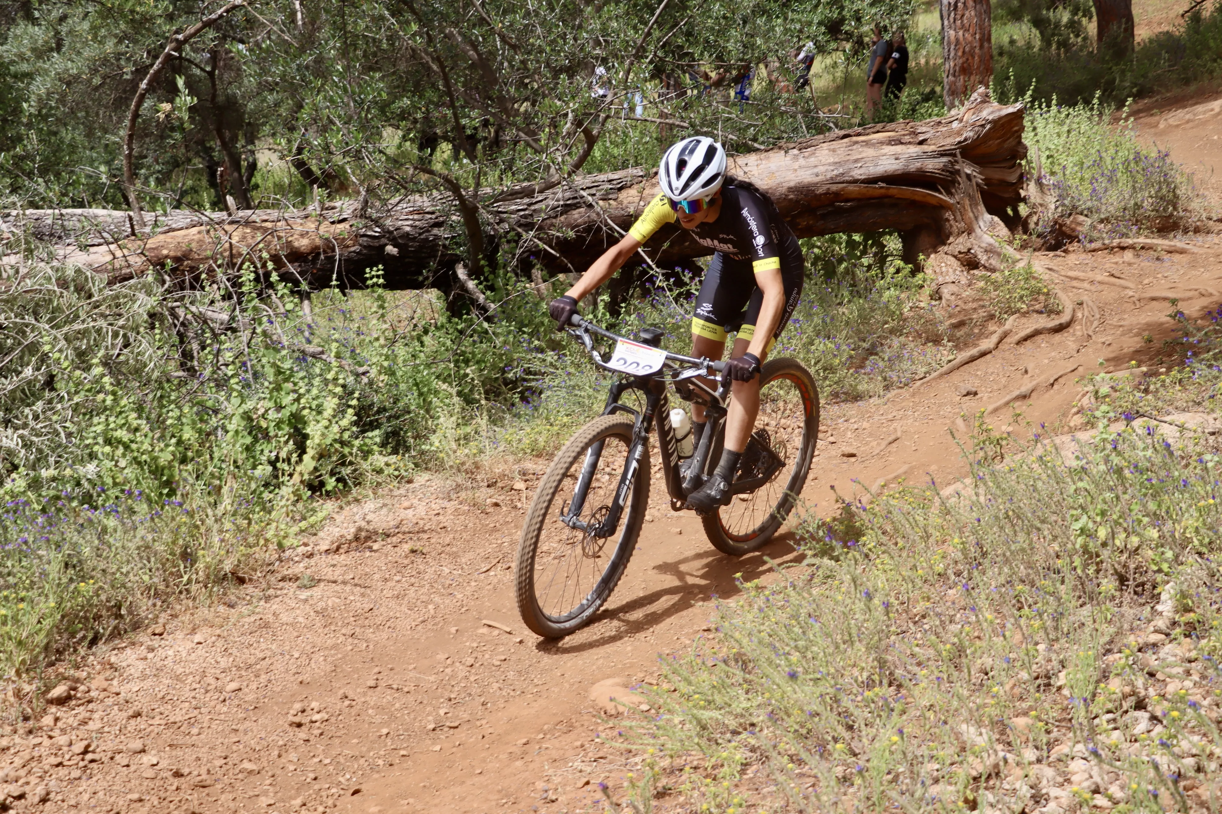XXIX RUTA MTB CIUDAD DE LUCENA