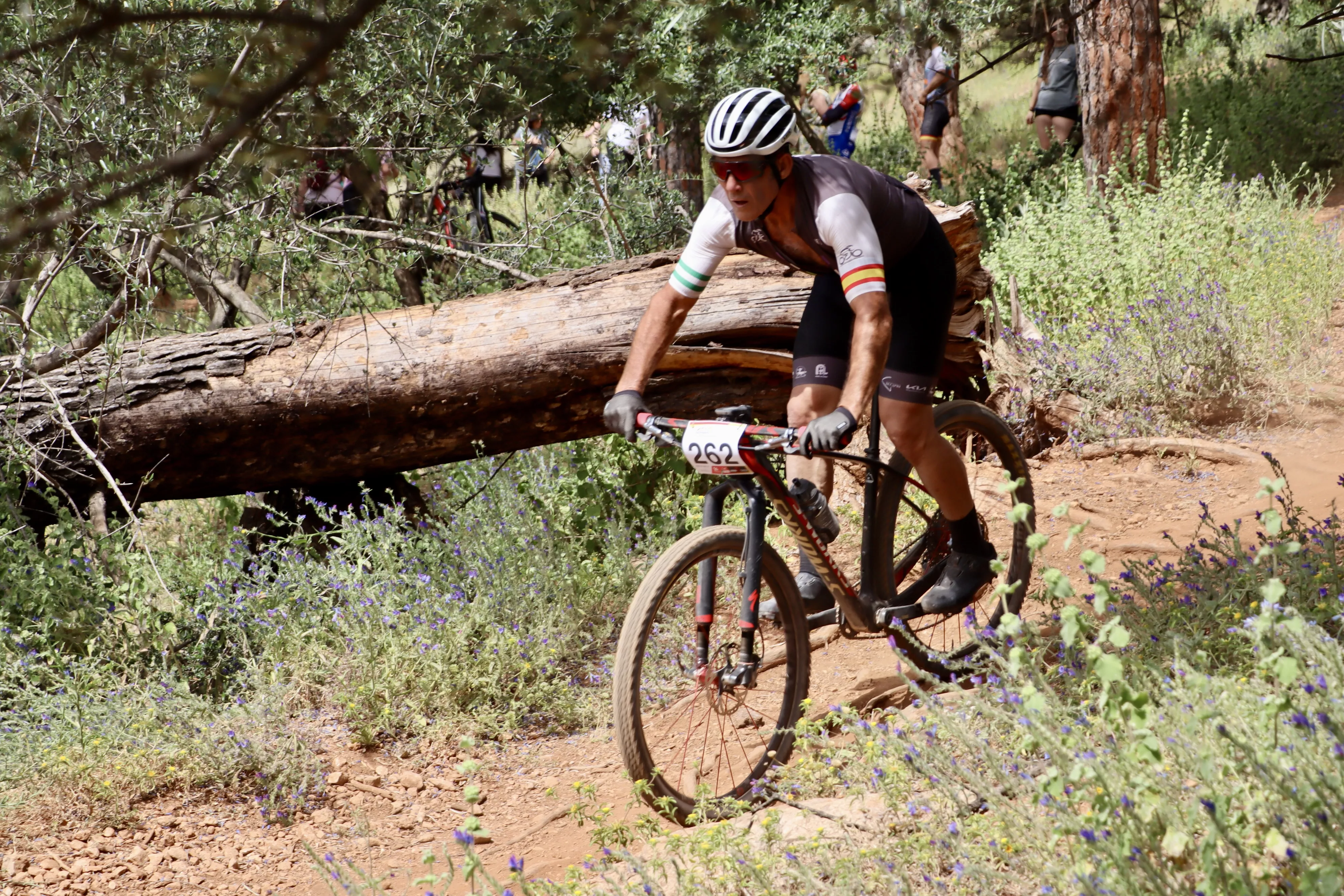 XXIX RUTA MTB CIUDAD DE LUCENA