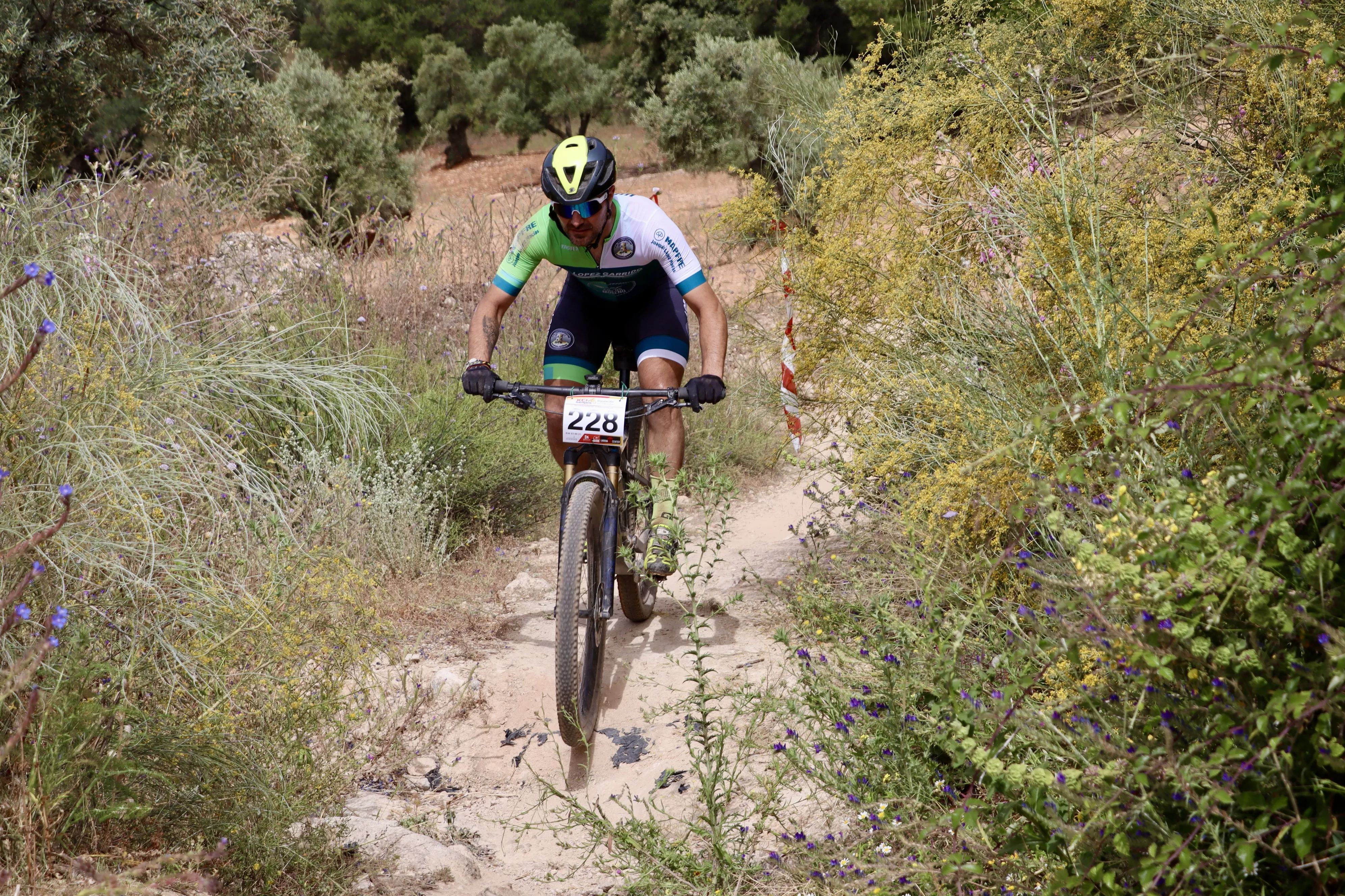 XXIX RUTA MTB CIUDAD DE LUCENA
