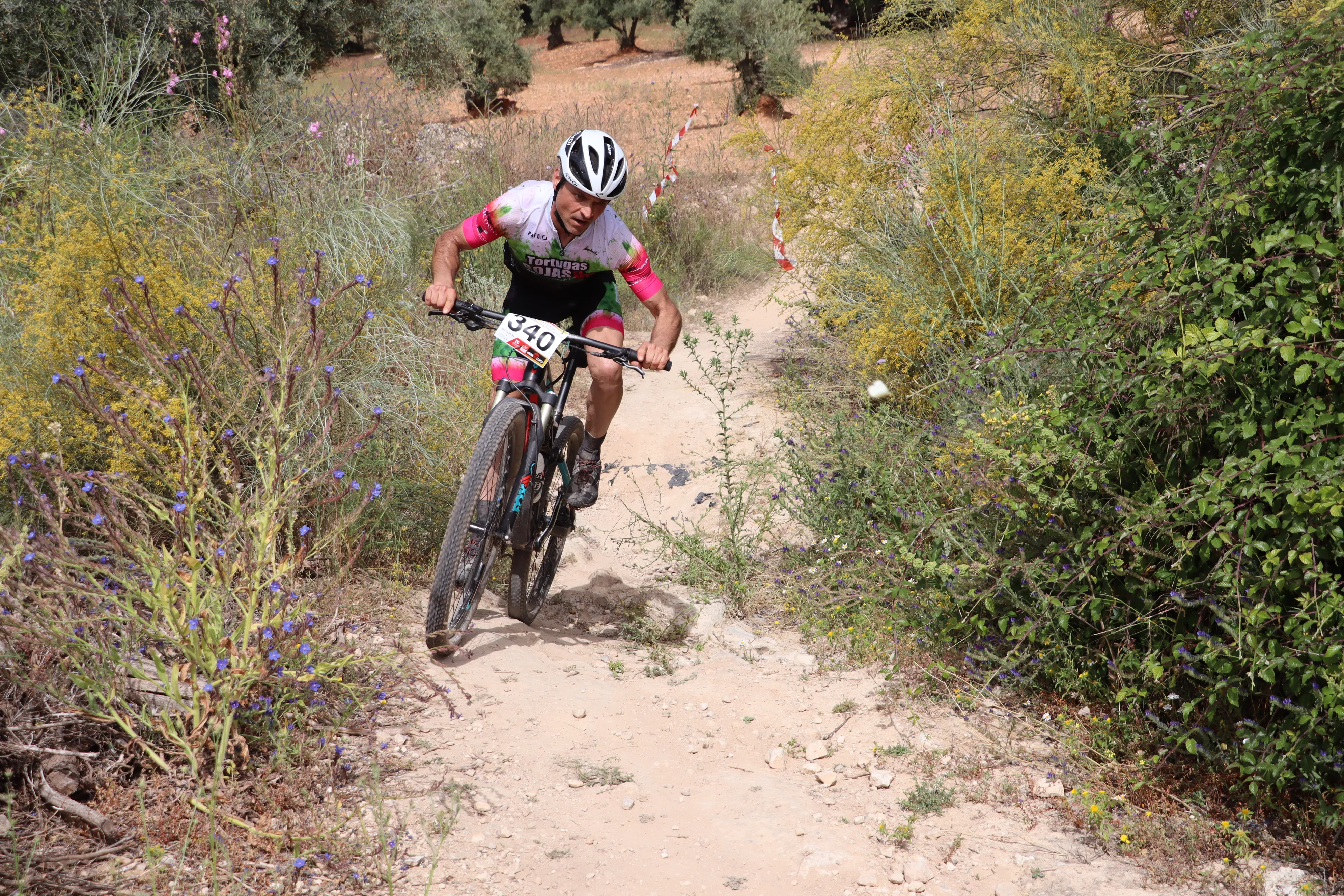 XXIX RUTA MTB CIUDAD DE LUCENA