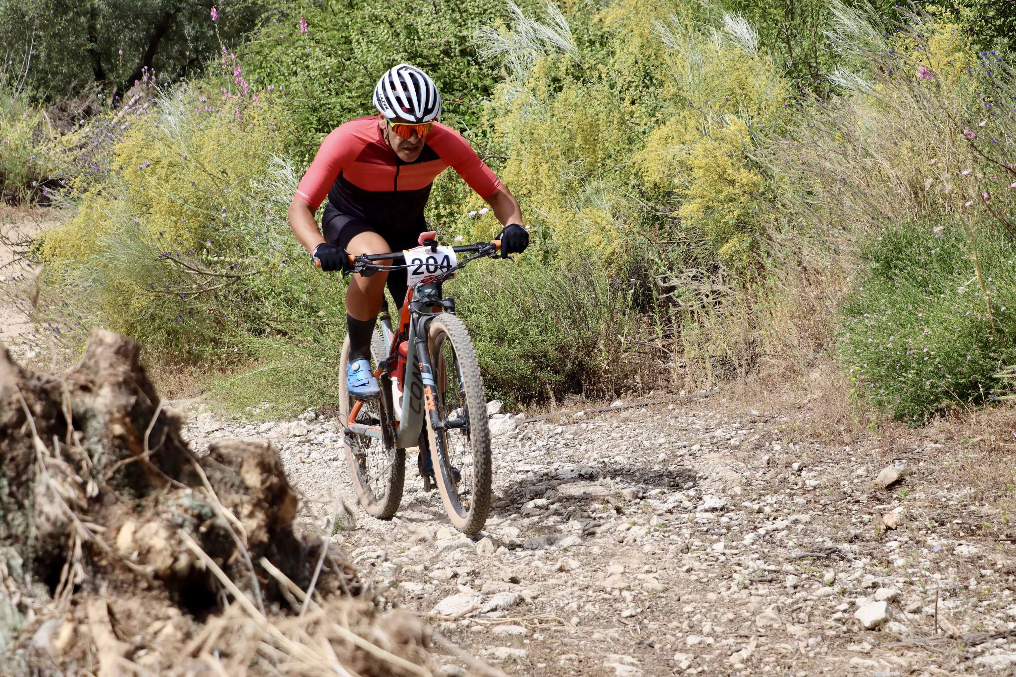 XXIX RUTA MTB CIUDAD DE LUCENA