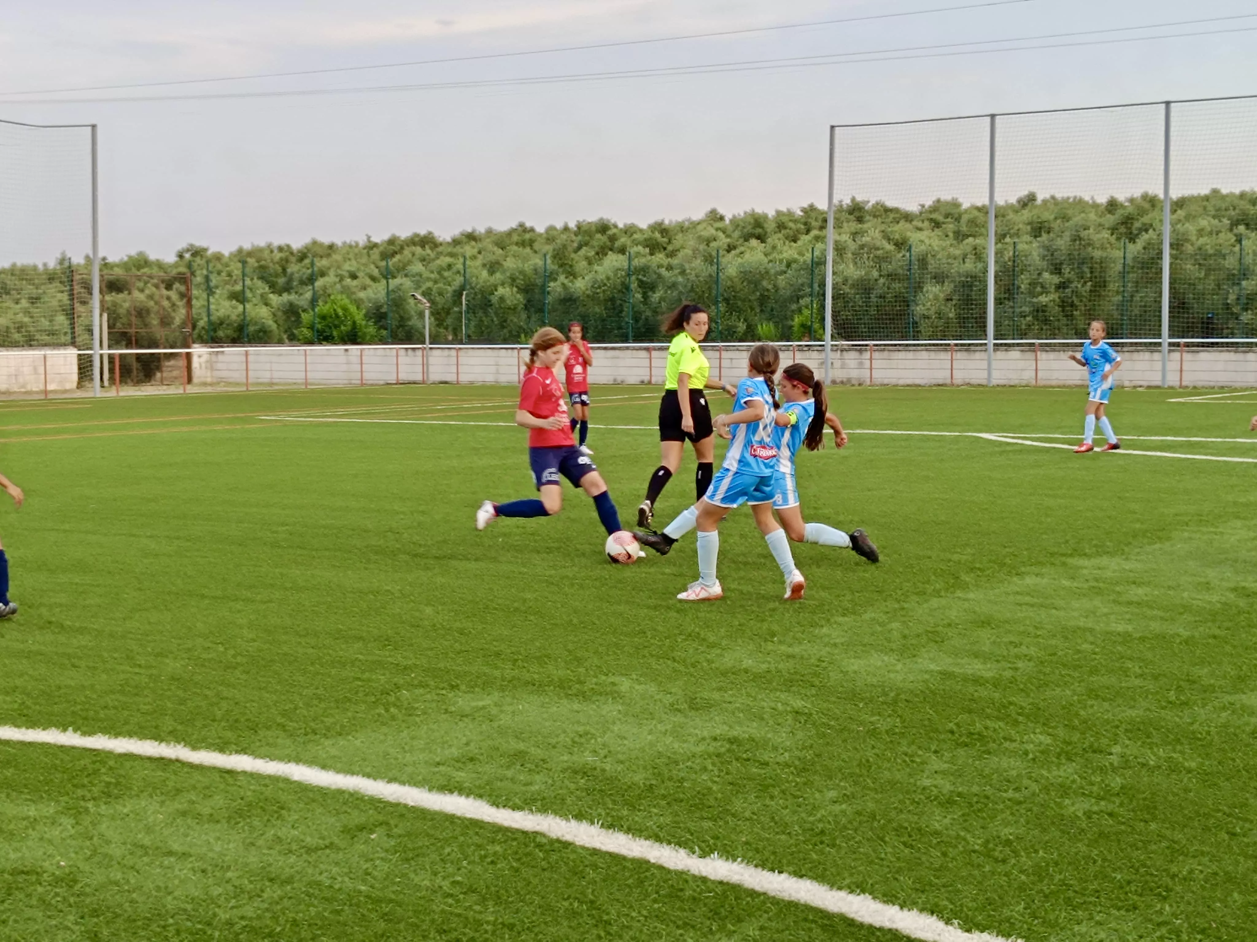 El Alevín Femenino del Ciudad de Lucena consigue la Copa Diputación 