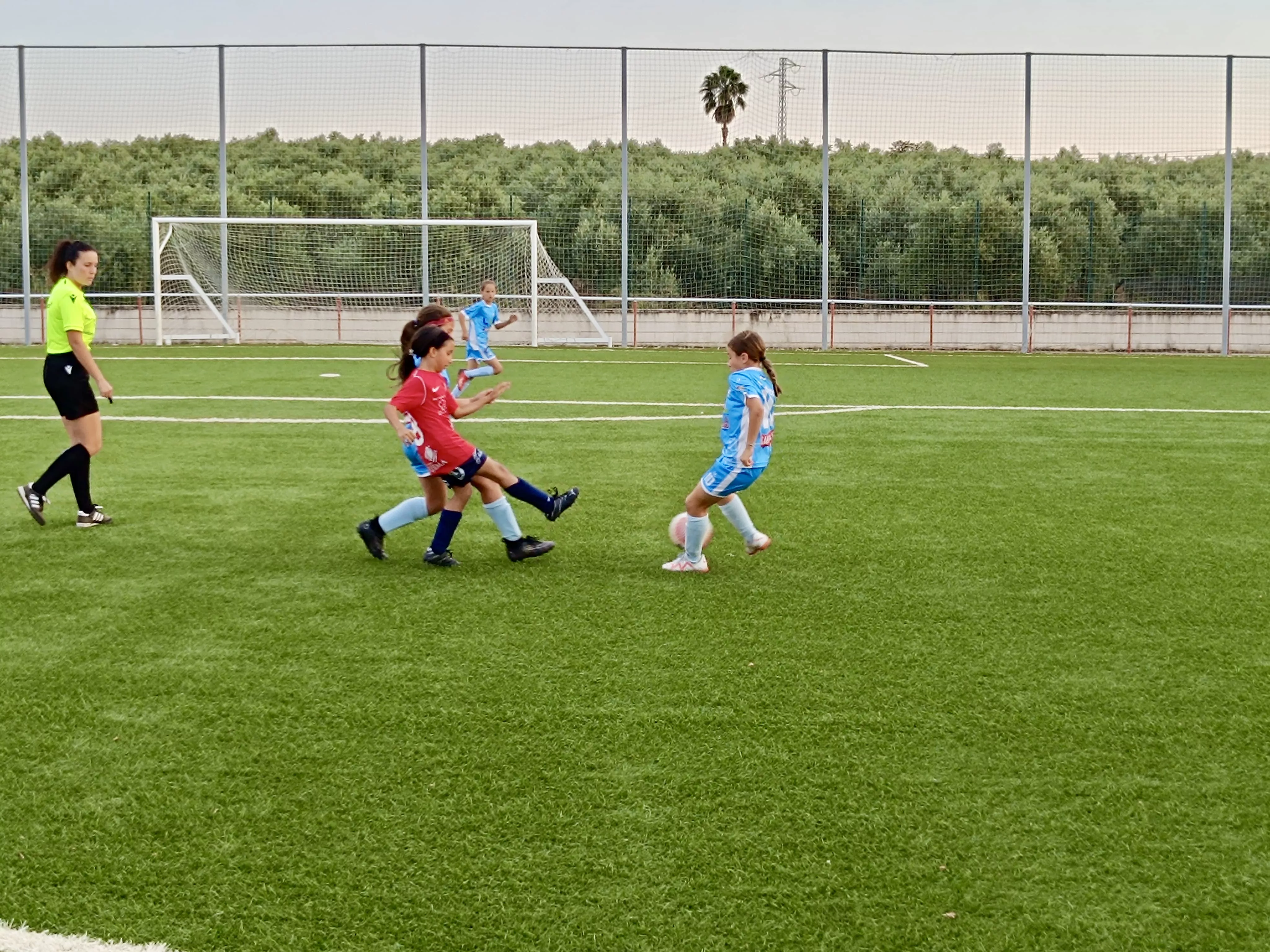 El Alevín Femenino del Ciudad de Lucena consigue la Copa Diputación 