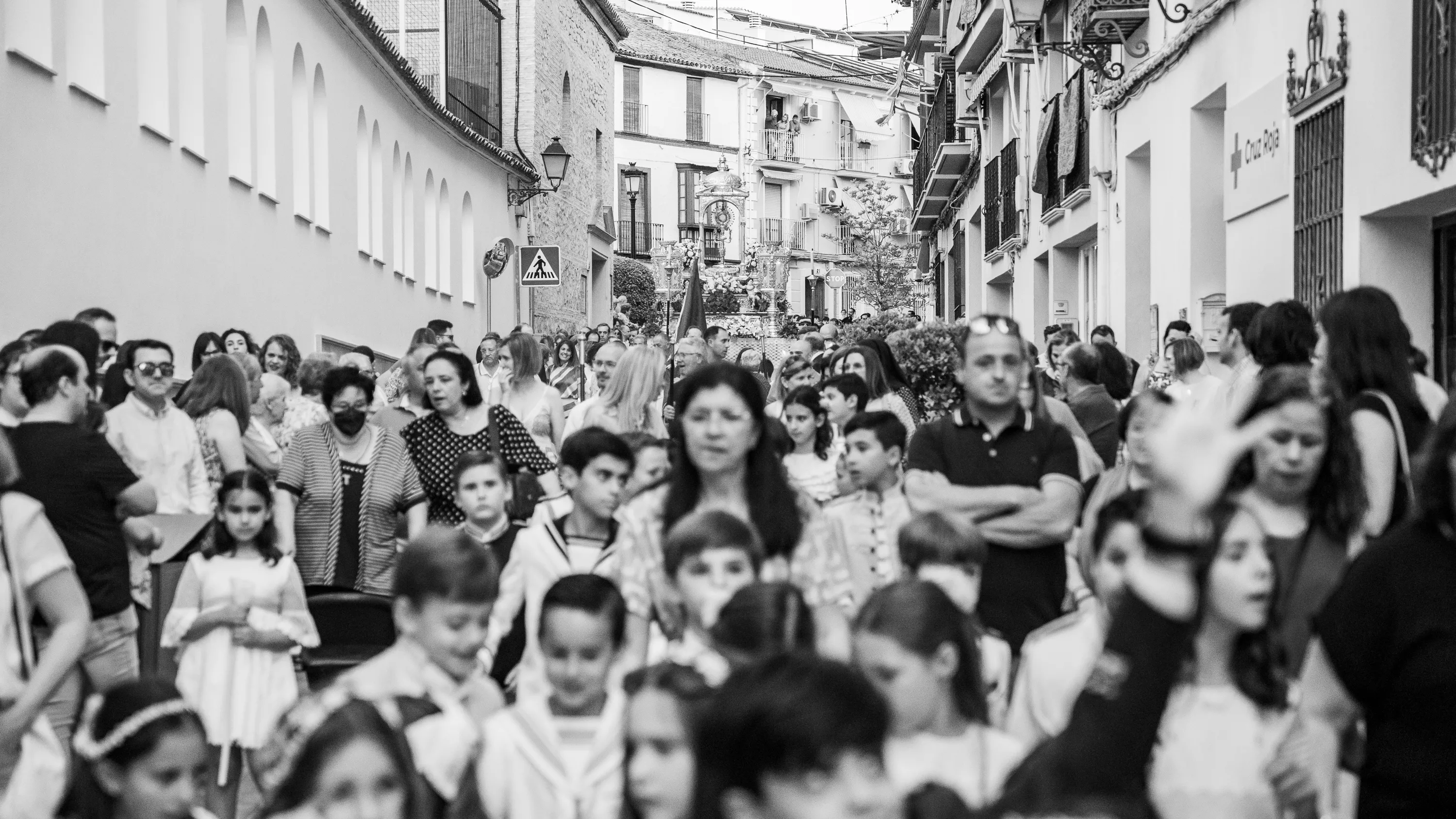 corpus 2024 (68)