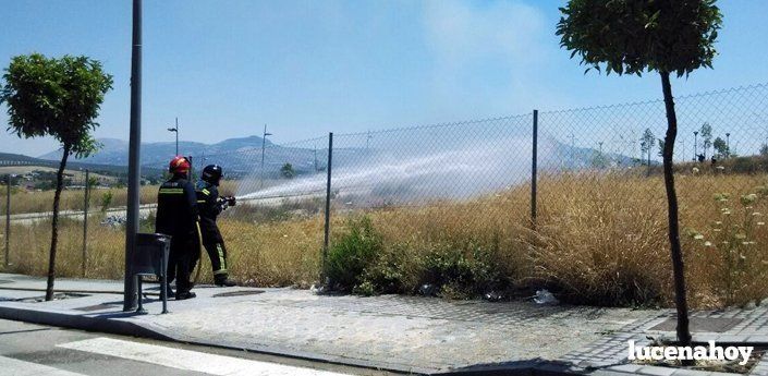  Los bomberos controlan un pequeño incendio en una zona de pastos de Aguanevada (fotos) 