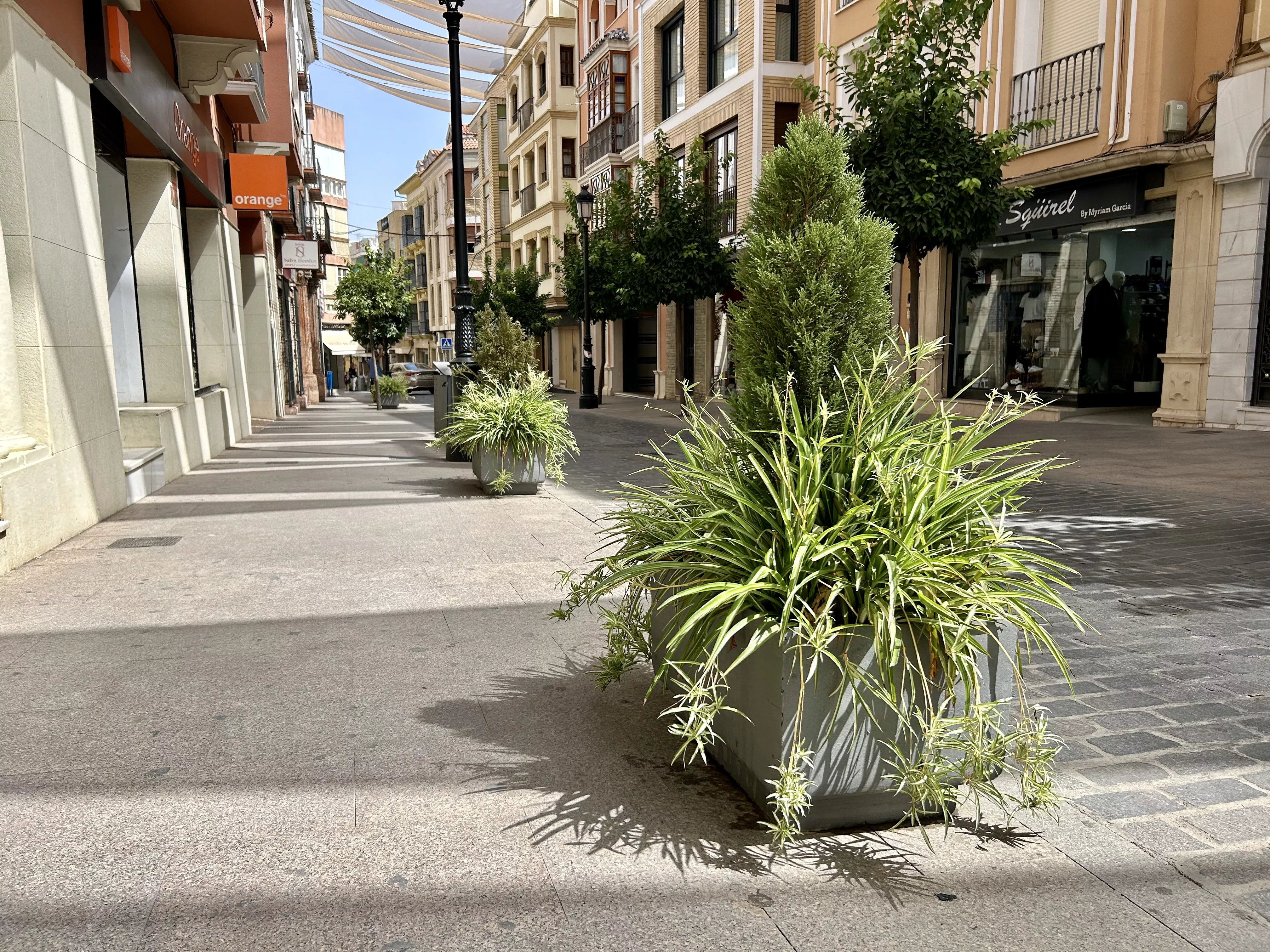 Parte de las jardineras del centro urbano serán sustituidas por otras de mayor tamaño, trasladando las actuales a otras zonas de la ciudad