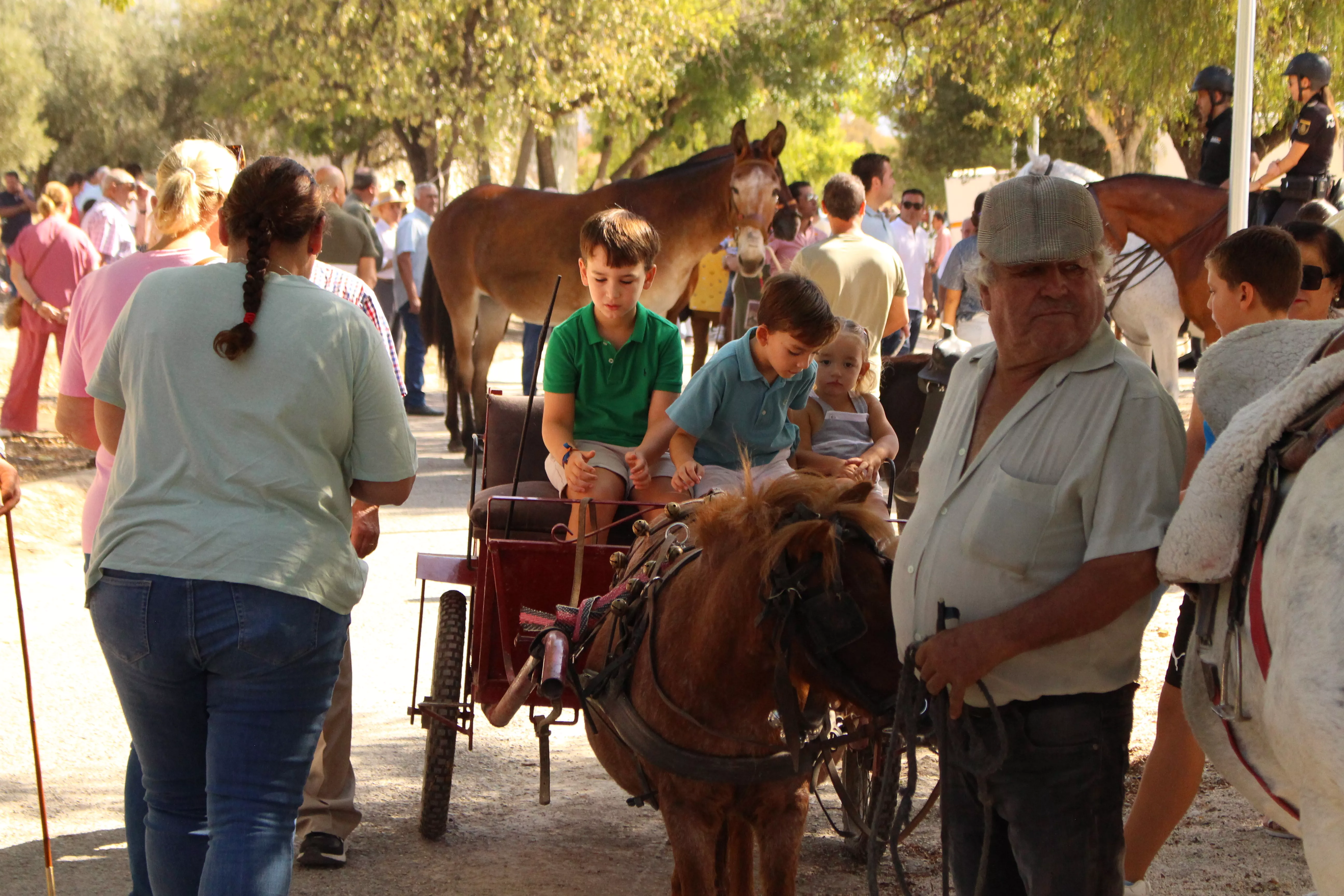 Feria de Ganado. Feria del Valle de Lucena 2024 Feria de Ganado. Feria del Valle de Lucena 2024