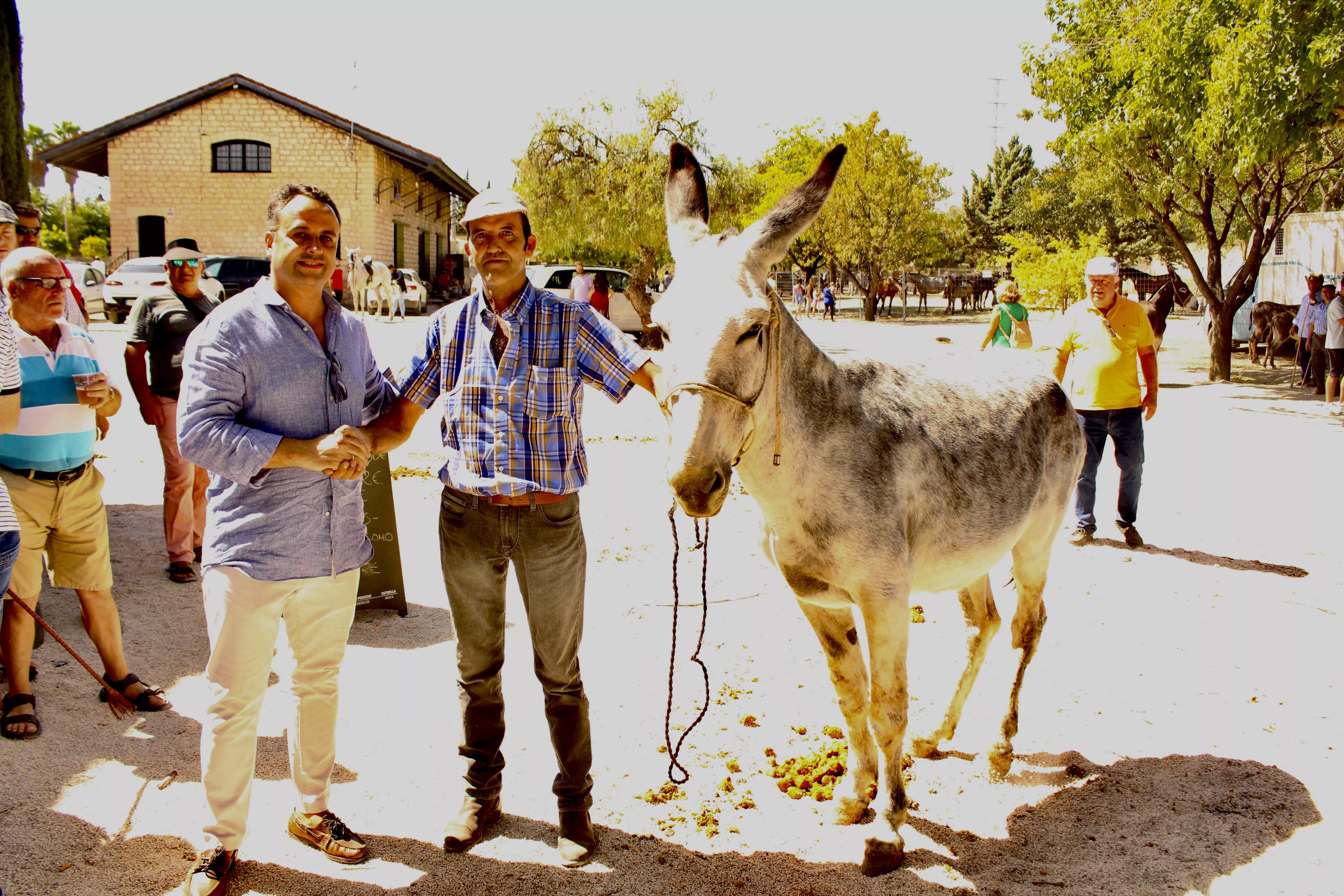 Feria de Ganado. Feria del Valle de Lucena 2024 Feria de Ganado. Feria del Valle de Lucena 2024
