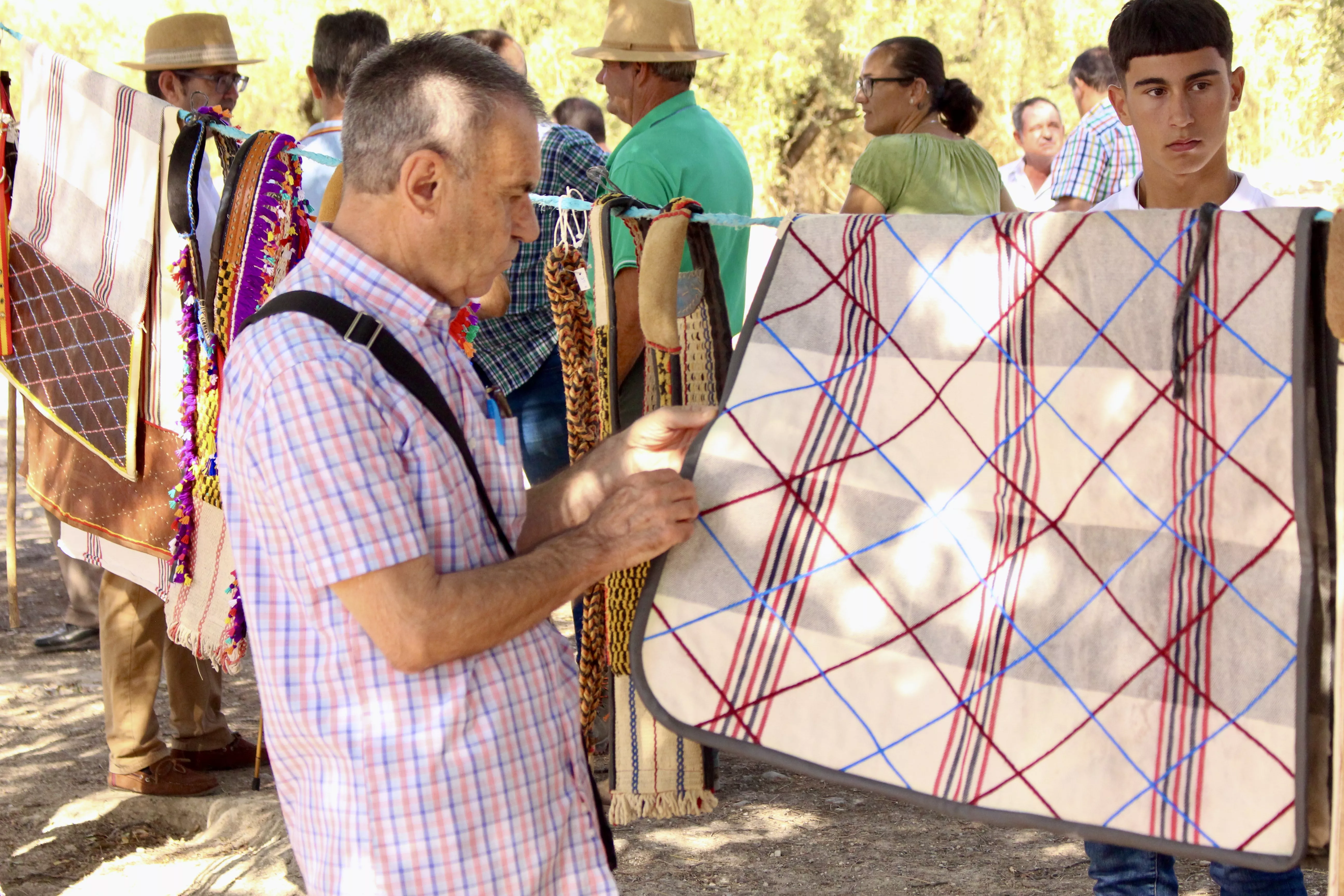 Feria de Ganado. Feria del Valle de Lucena 2024 Feria de Ganado. Feria del Valle de Lucena 2024