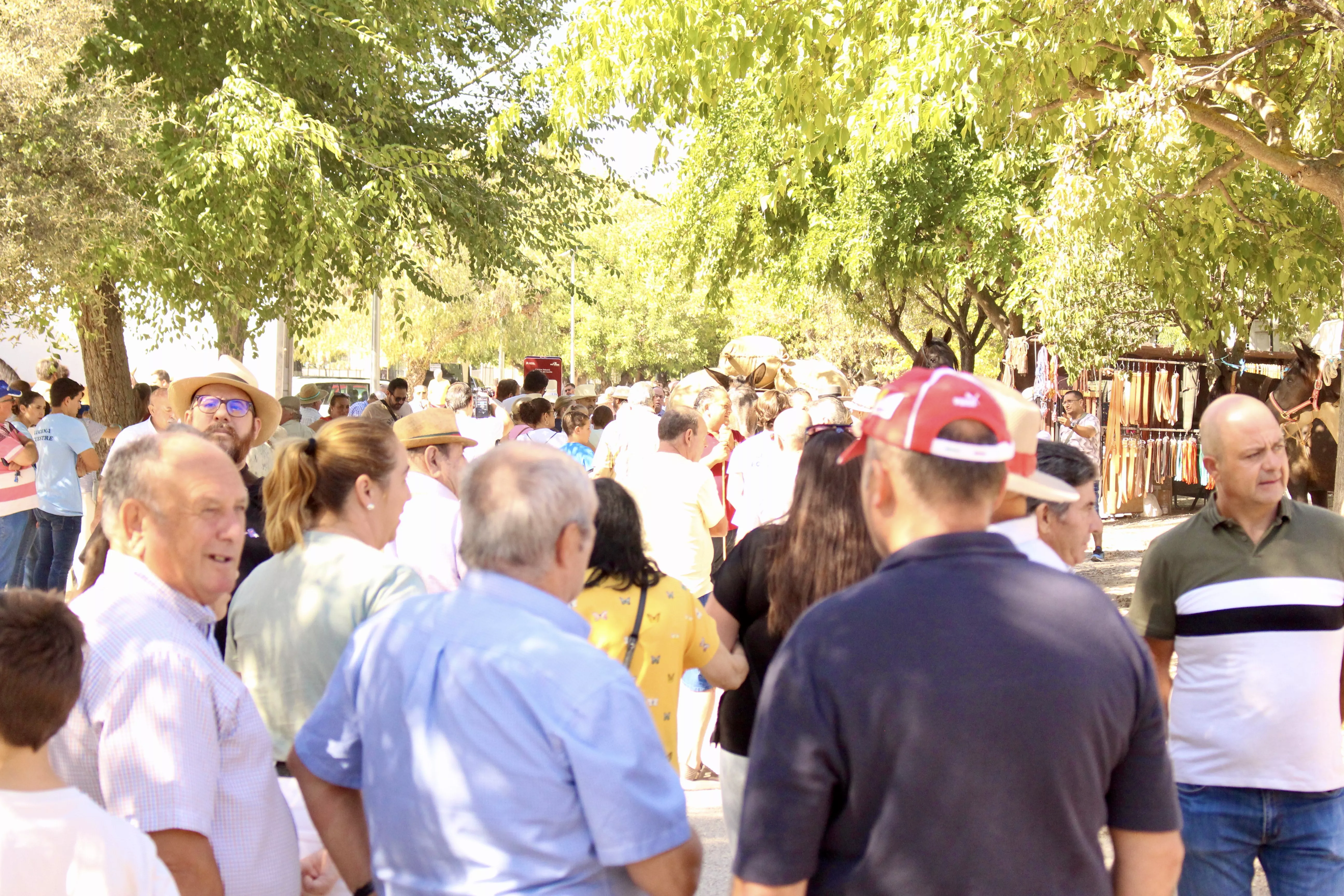 Feria de Ganado. Feria del Valle de Lucena 2024 Feria de Ganado. Feria del Valle de Lucena 2024