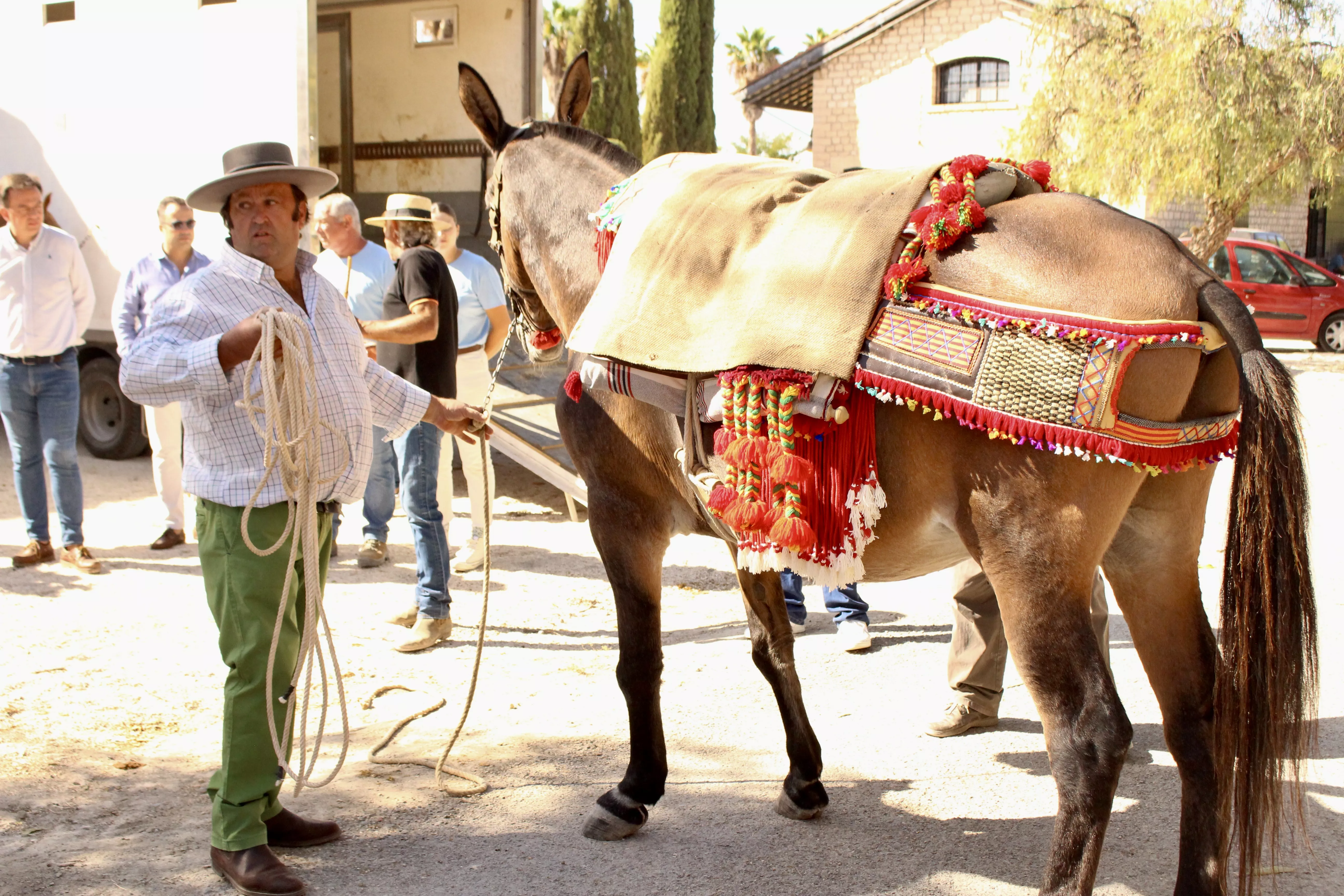 Feria de Ganado. Feria del Valle de Lucena 2024 Feria de Ganado. Feria del Valle de Lucena 2024
