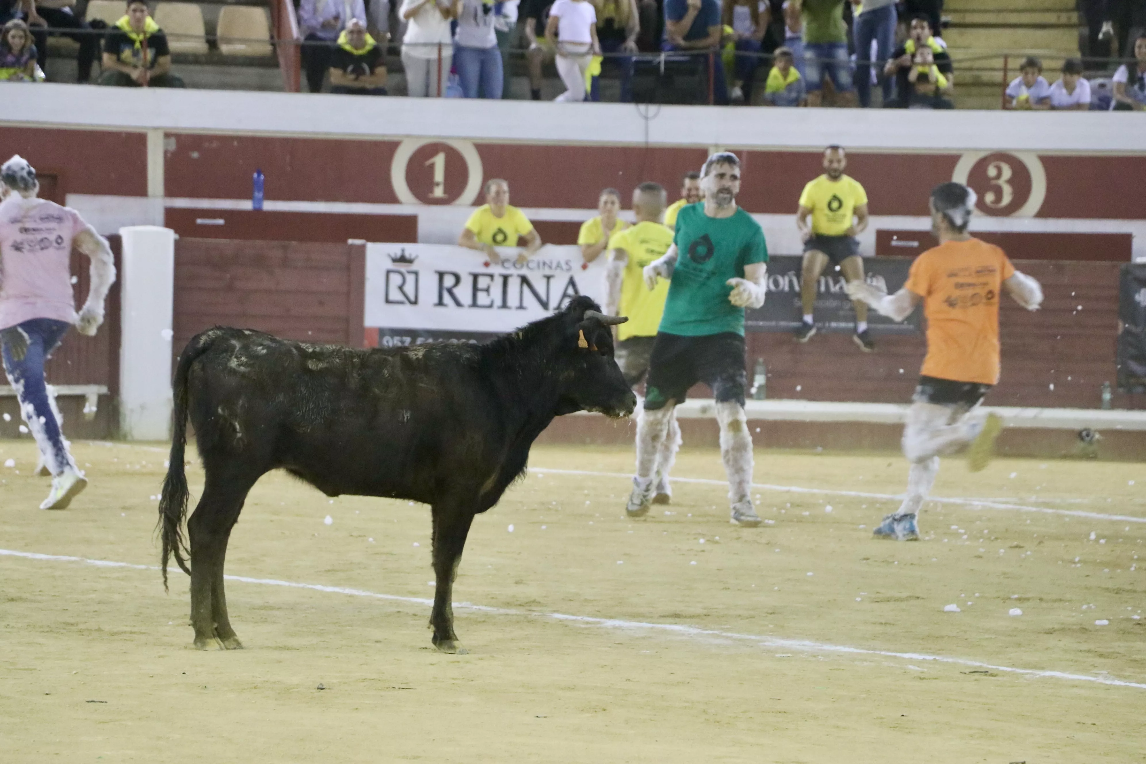 Gran Prix Lucena 2024 Gran Prix Lucena 2024