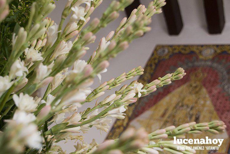 Los egabrenses se vuelcan con la Virgen de la Sierra en la 'Bajá'. Fotos de Jesús Ruiz 'Gitanito'