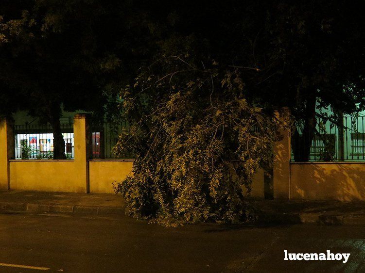 Galería de fotos: Una tormenta provoca el desalojo de la residencia de El Sauce