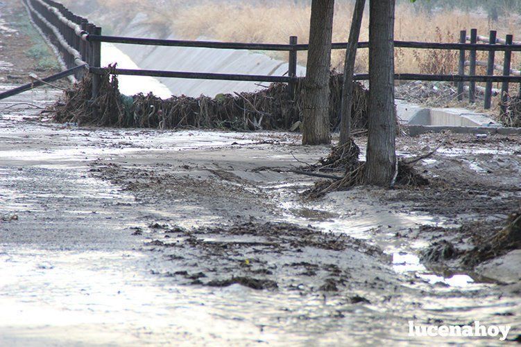 Galería de fotos: Una tormenta provoca el desalojo de la residencia de El Sauce