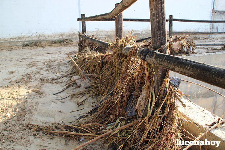 Galería de fotos: Una tormenta provoca el desalojo de la residencia de El Sauce