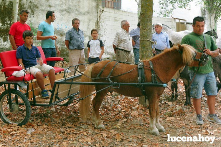  Una imagen de la feria de ganado celebrada el pasado año en El Cascajar 